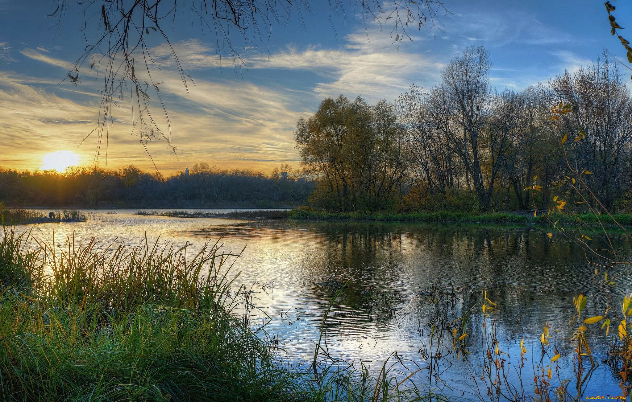 природа, реки, озера, река, лес