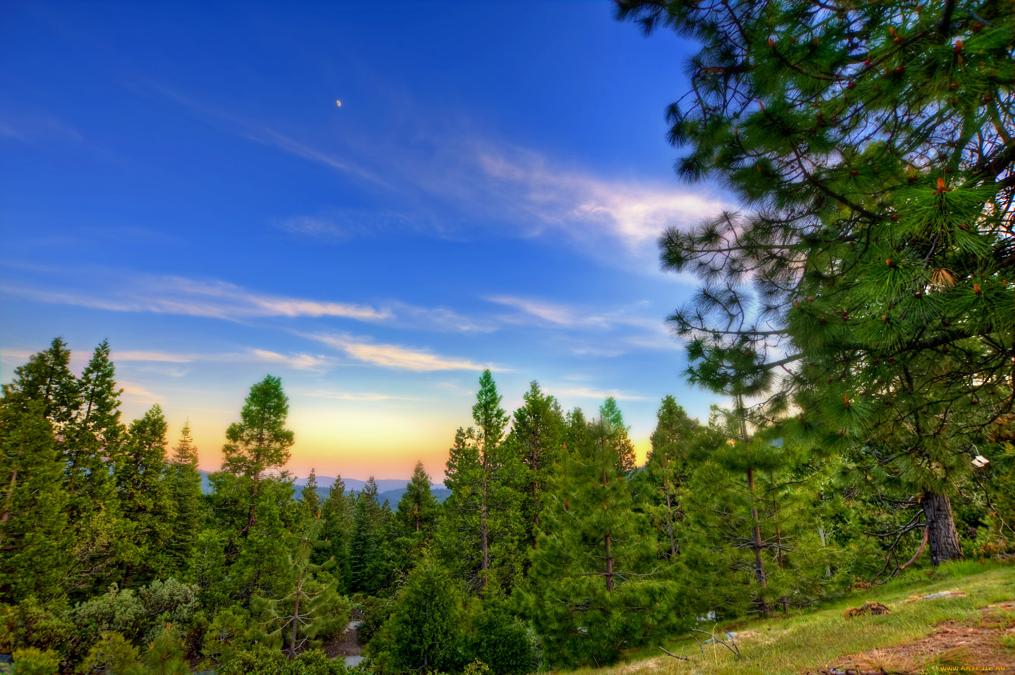 природа, пейзажи, простор