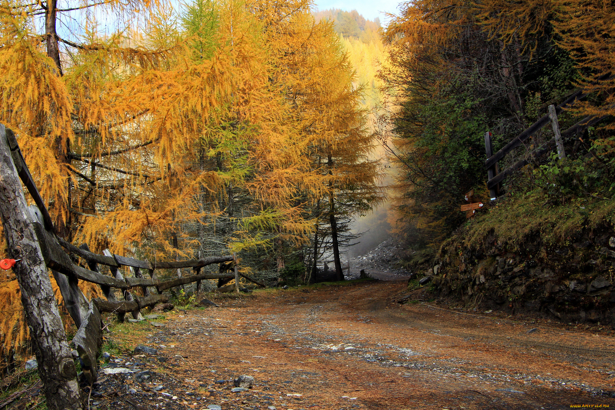 природа, дороги, тракт