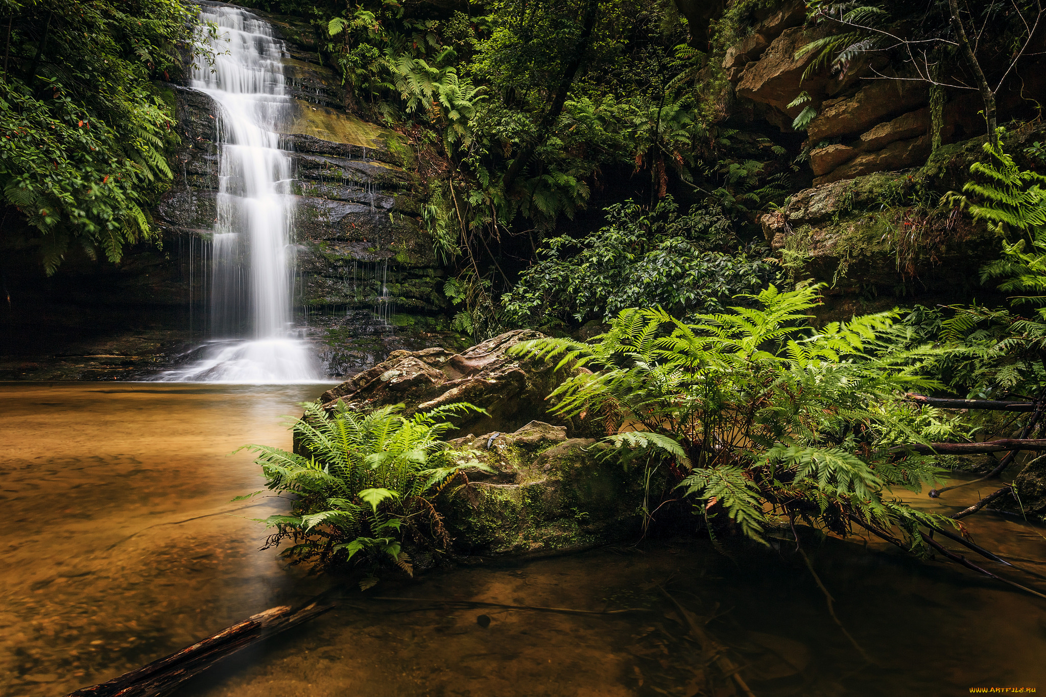 природа, водопады, водопад, река, лес
