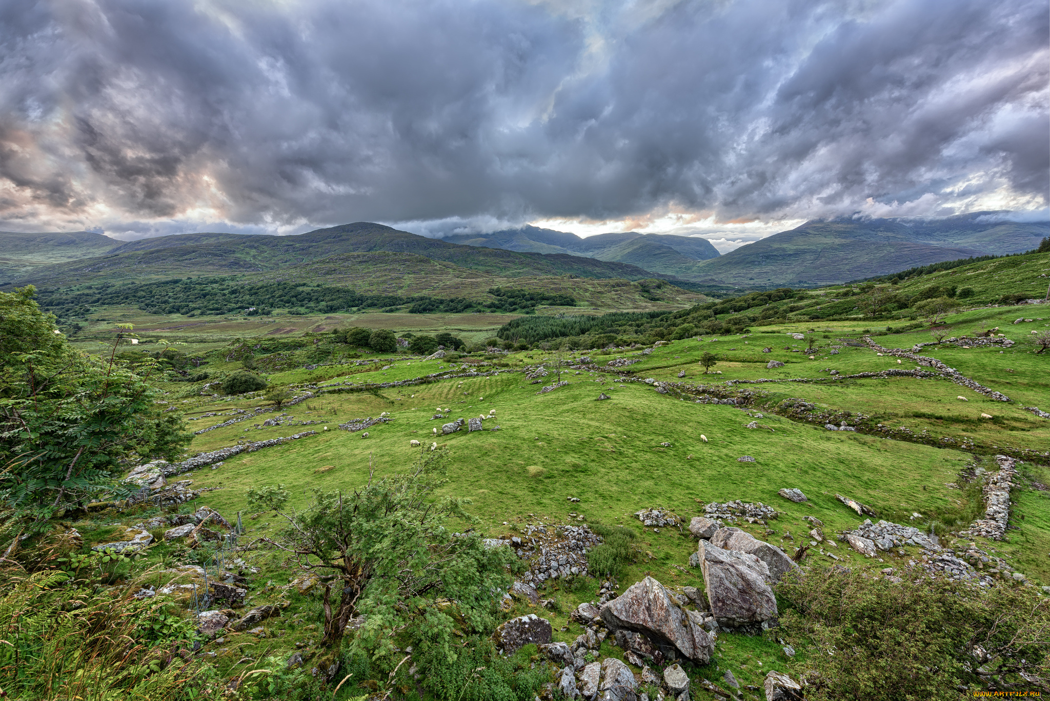 природа, пейзажи, простор