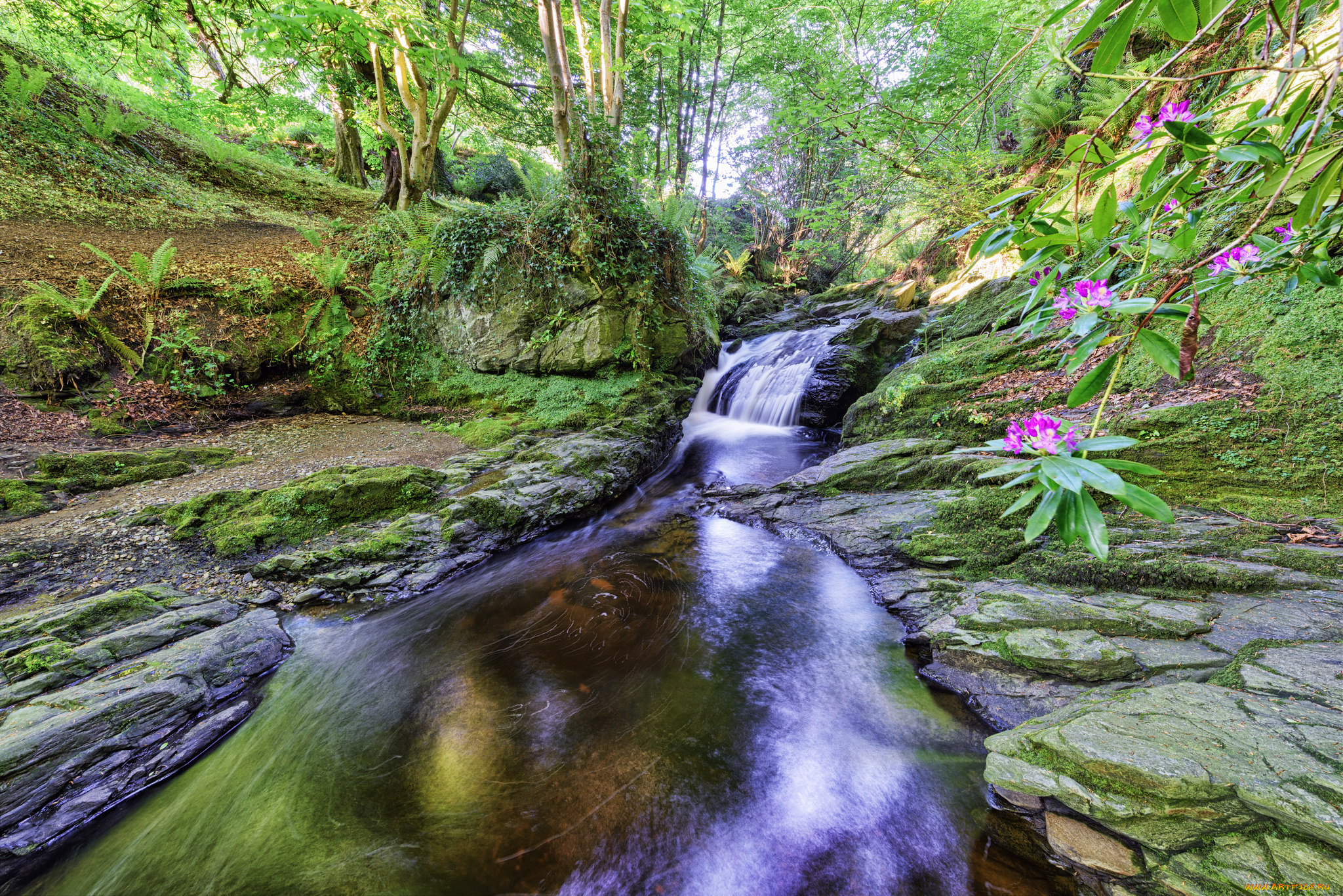 природа, водопады, водопад, река, лес