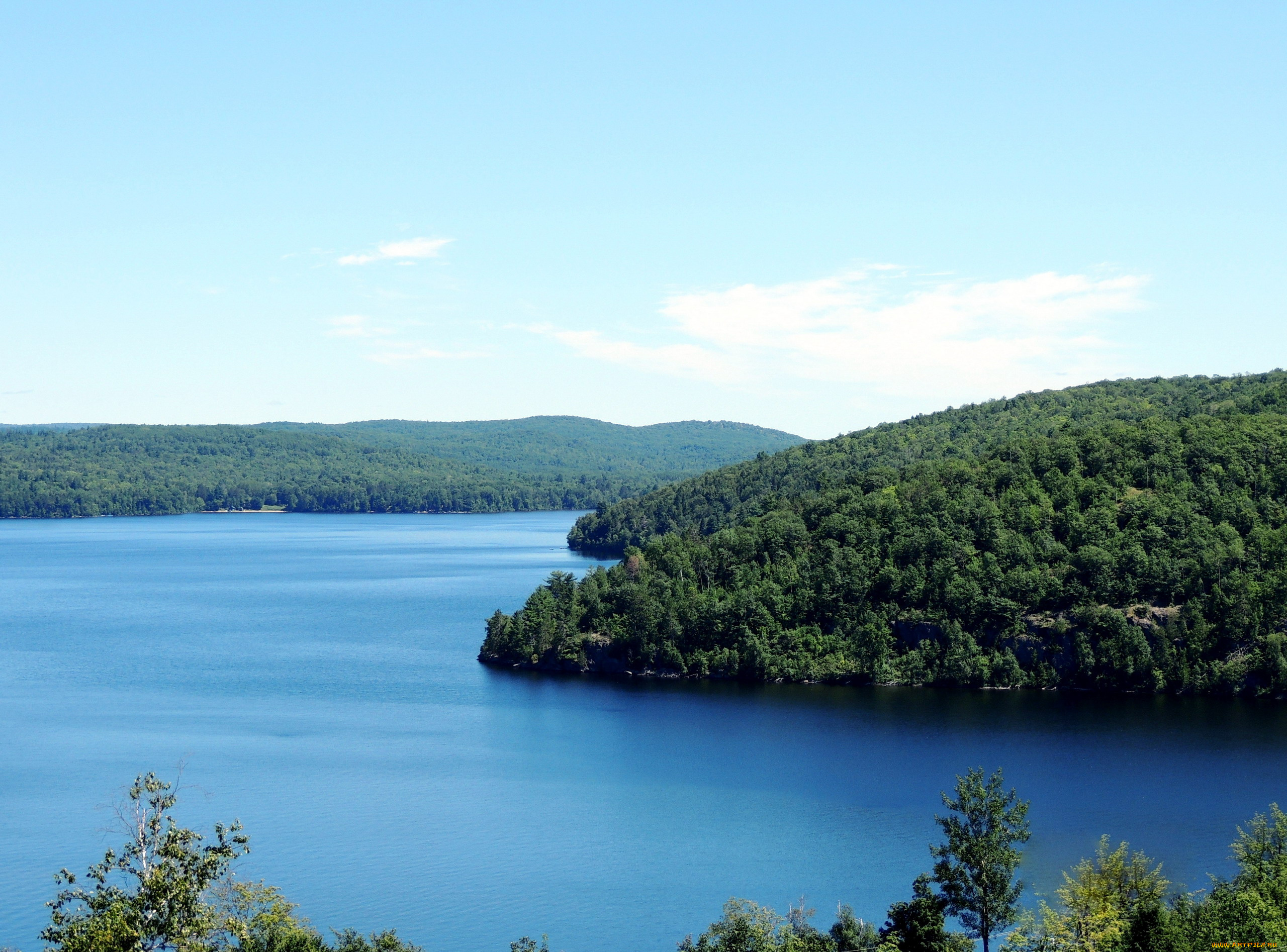 природа, реки, озера, лес, вода, река