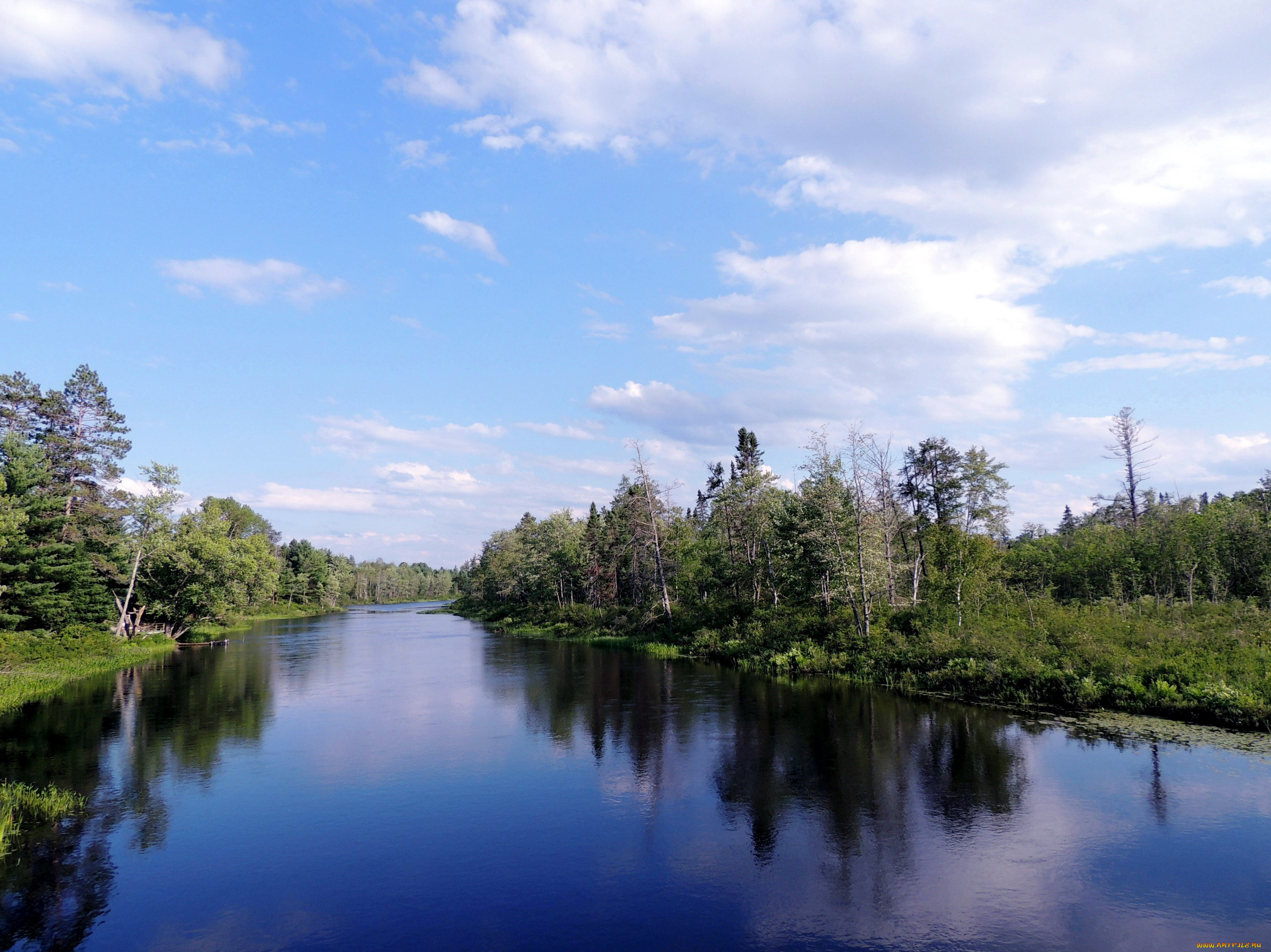 природа, реки, озера, деревья, река