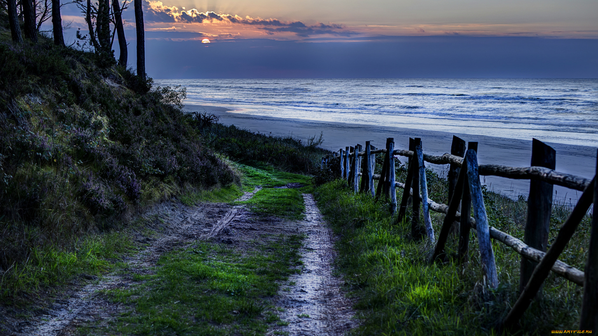 природа, дороги, простор