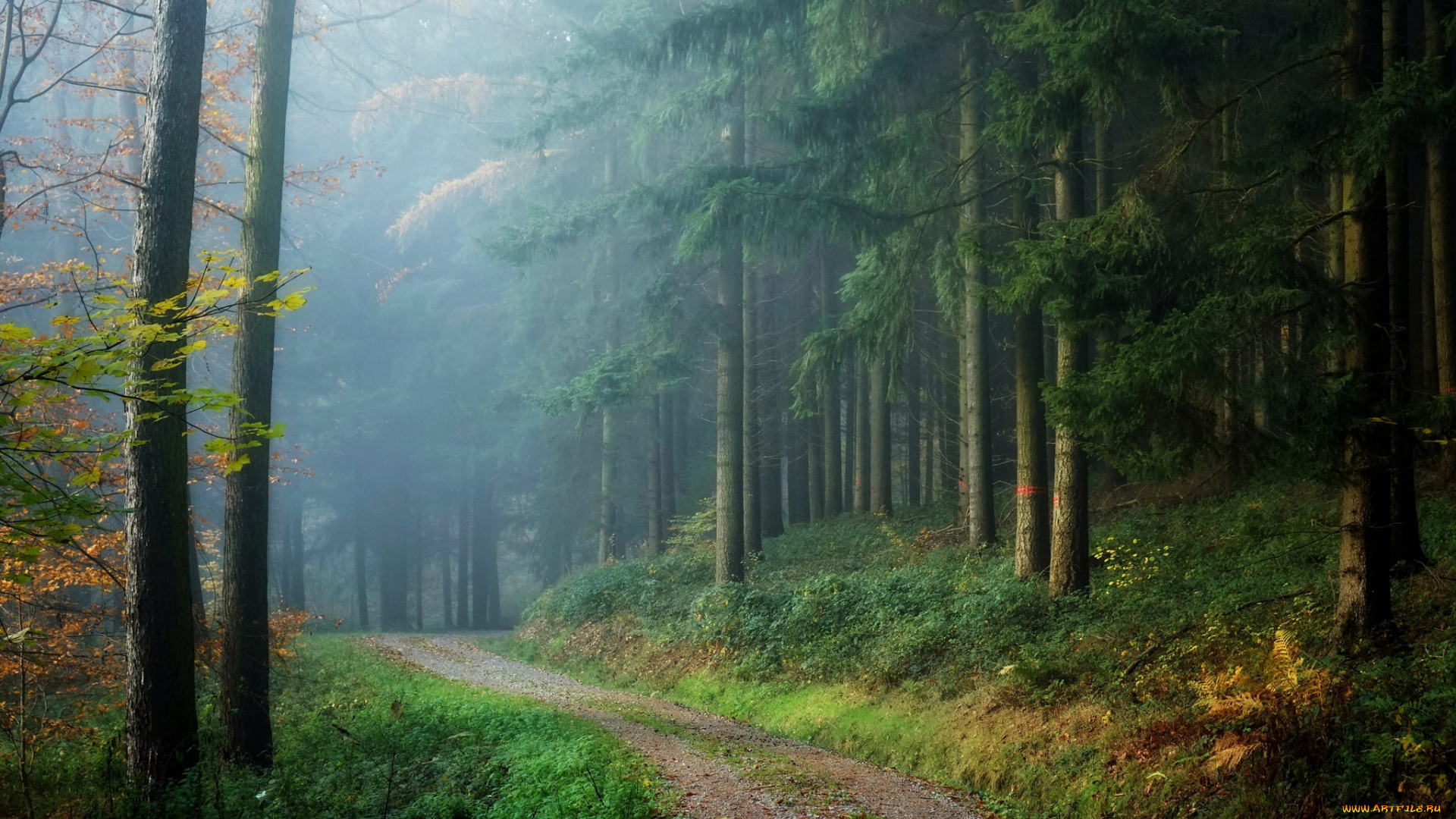 природа, дороги, простор