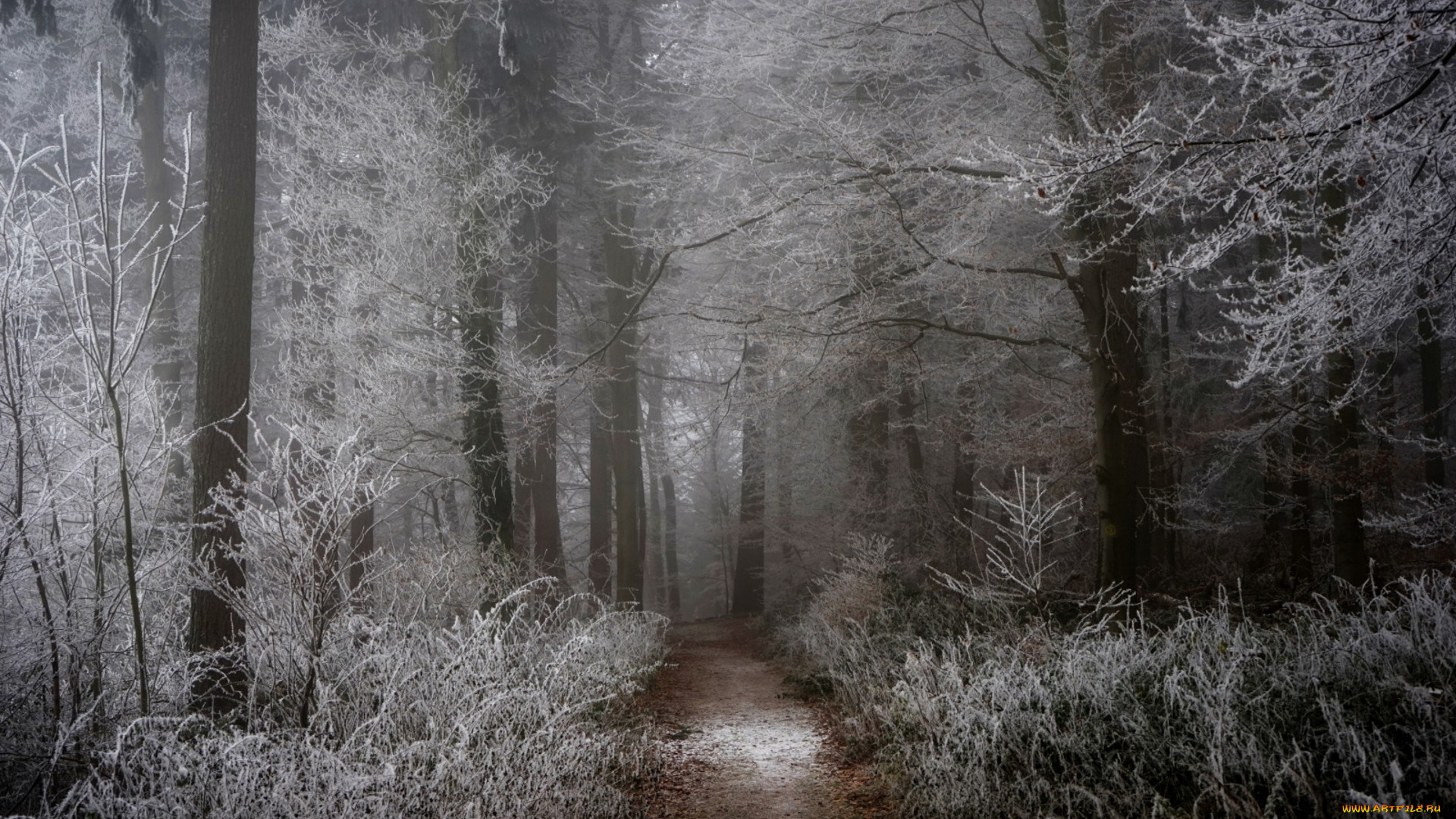 природа, дороги, простор