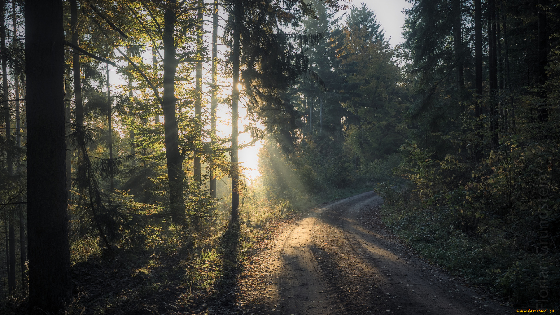 природа, дороги, простор