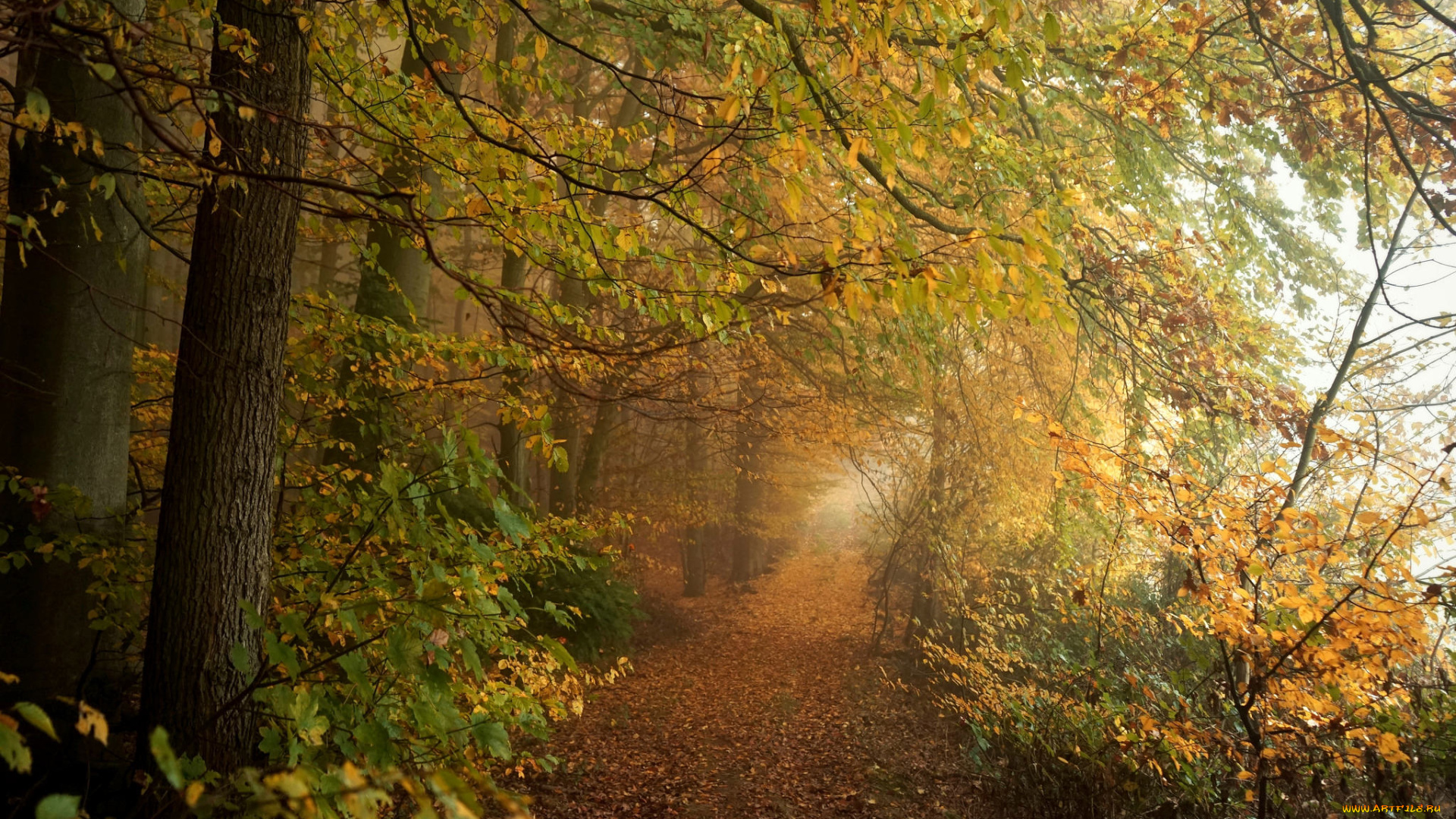 природа, дороги, простор