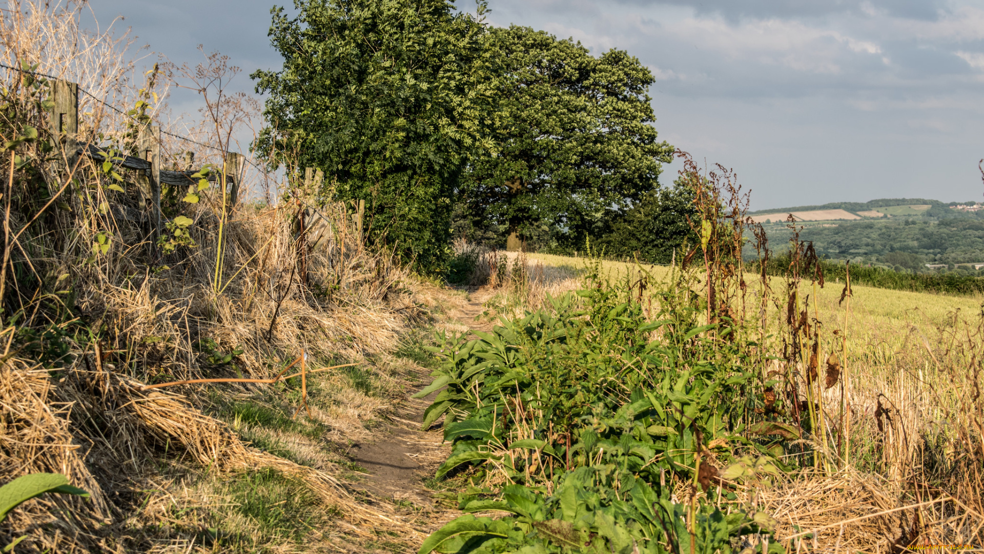 природа, дороги, простор