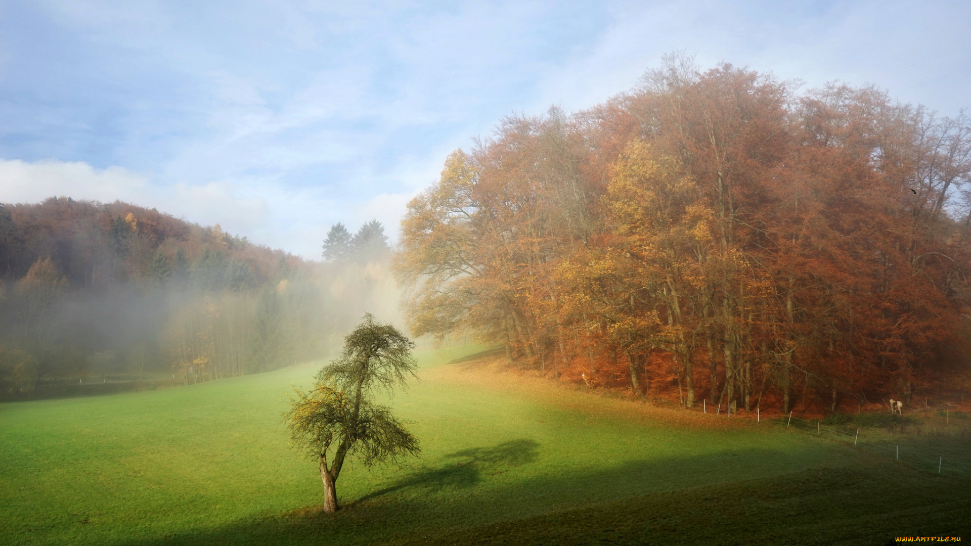 природа, пейзажи, простор