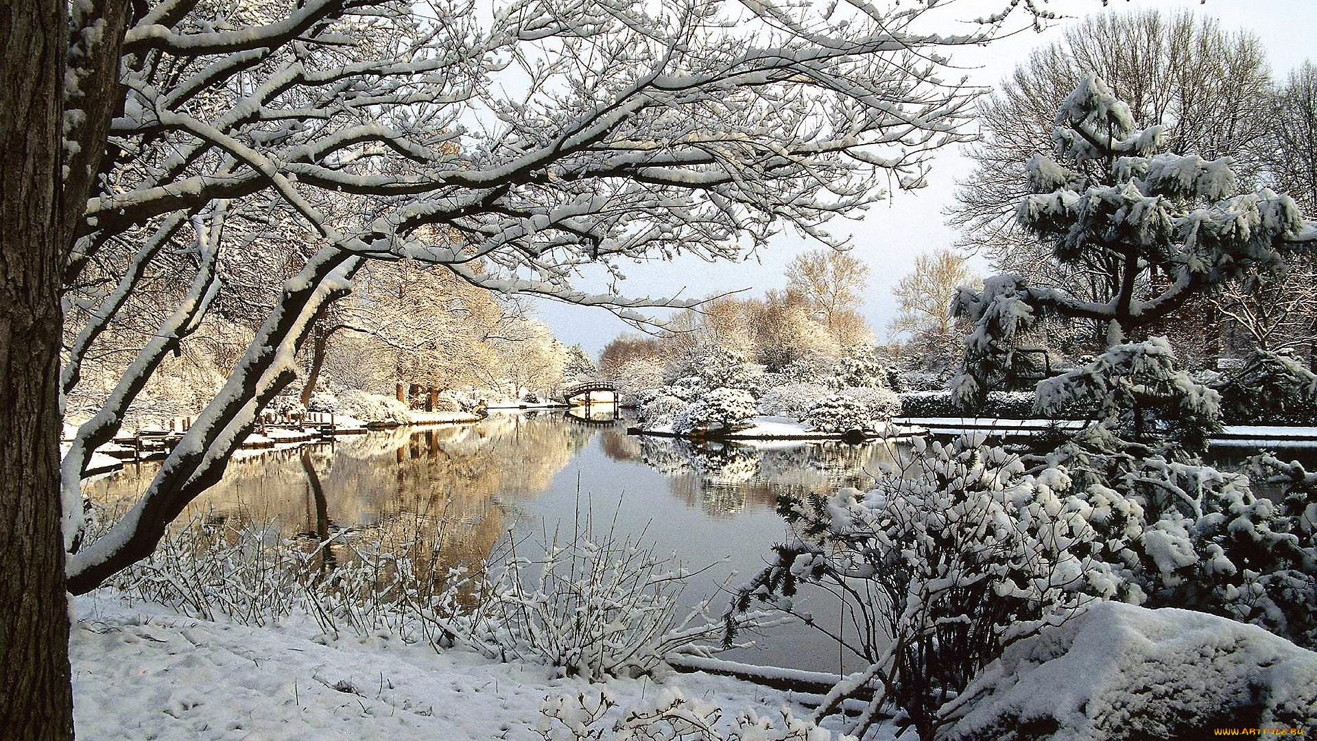 природа, реки, озера, деревья, река, мост, снег, зима