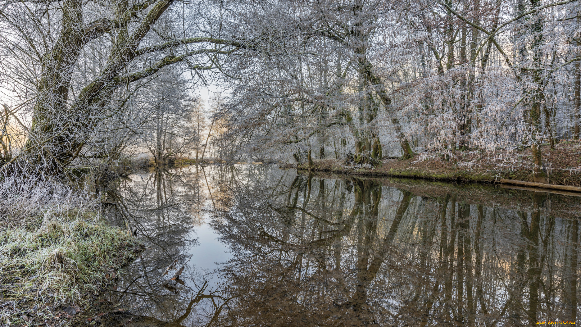 природа, реки, озера, простор