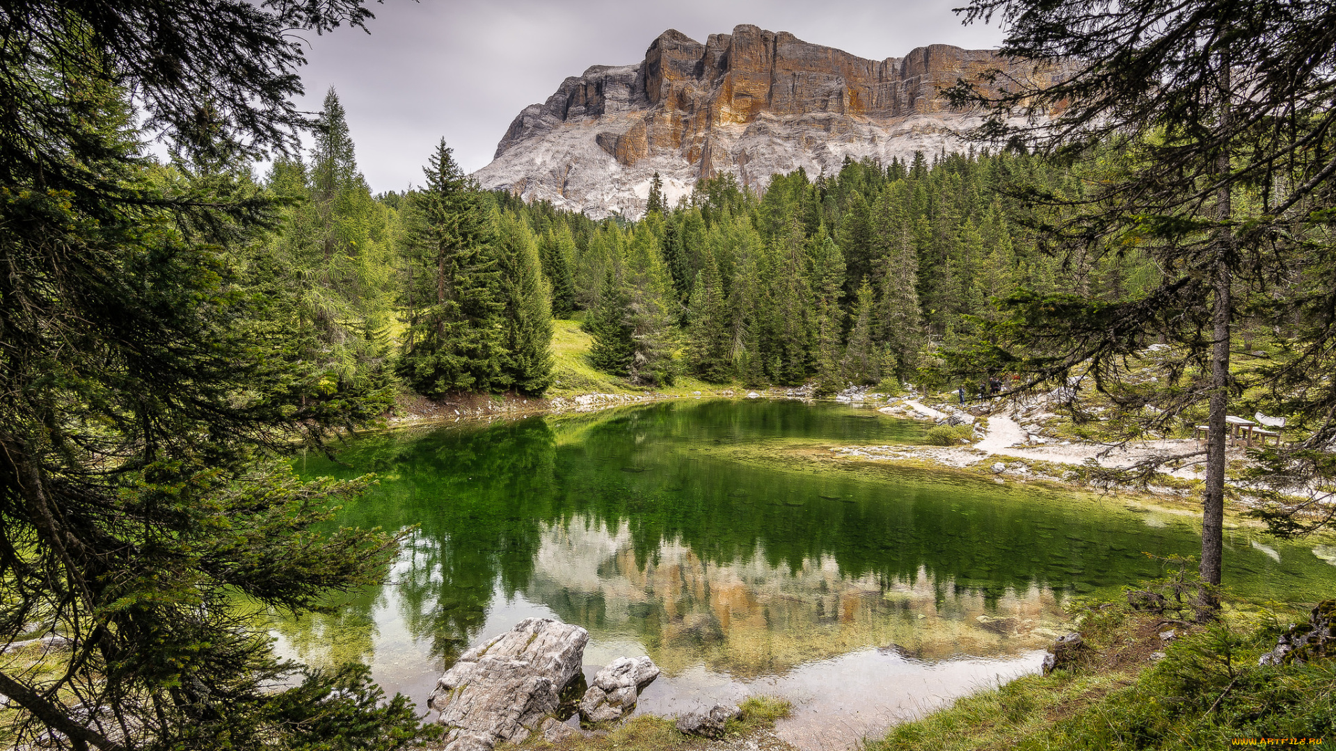 природа, реки, озера, простор