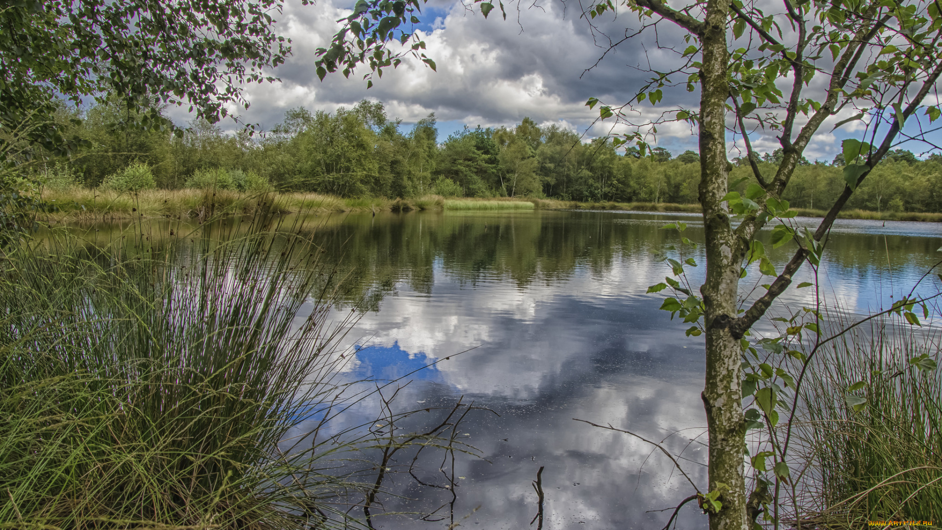 природа, реки, озера, простор