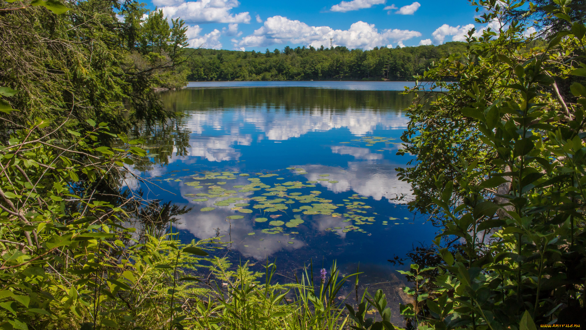 природа, реки, озера, простор