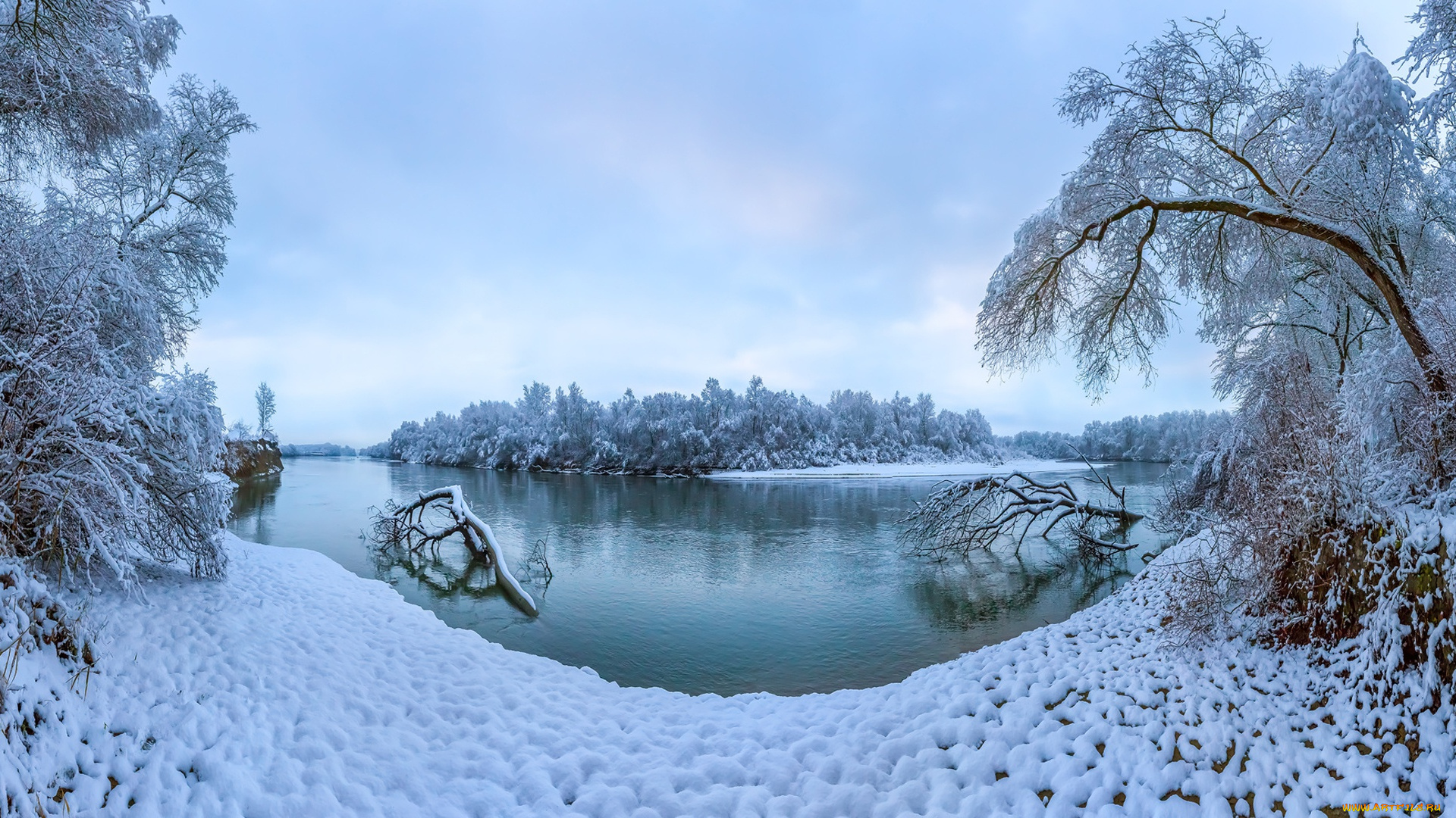 природа, реки, озера, россия, ставропольский, край, река, терек, зима, снег, деревья