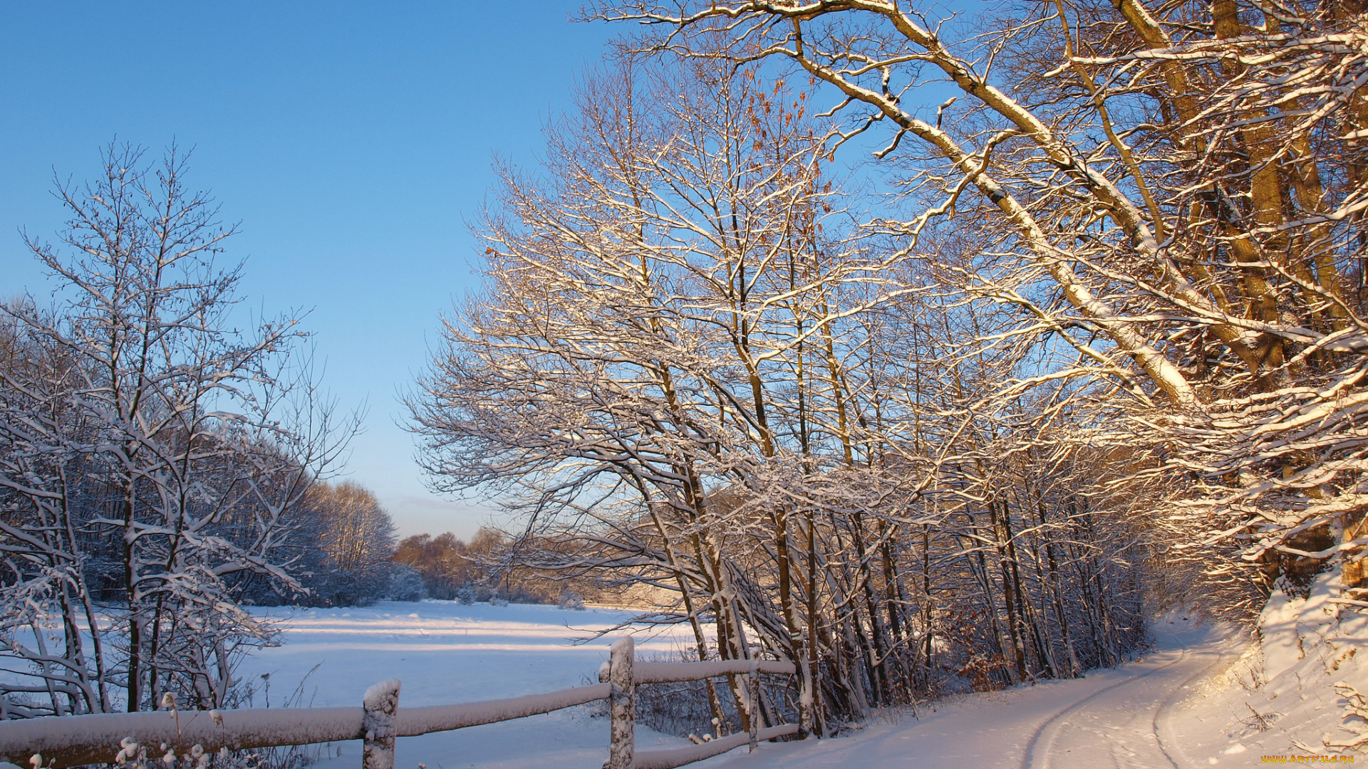 природа, зима, простор