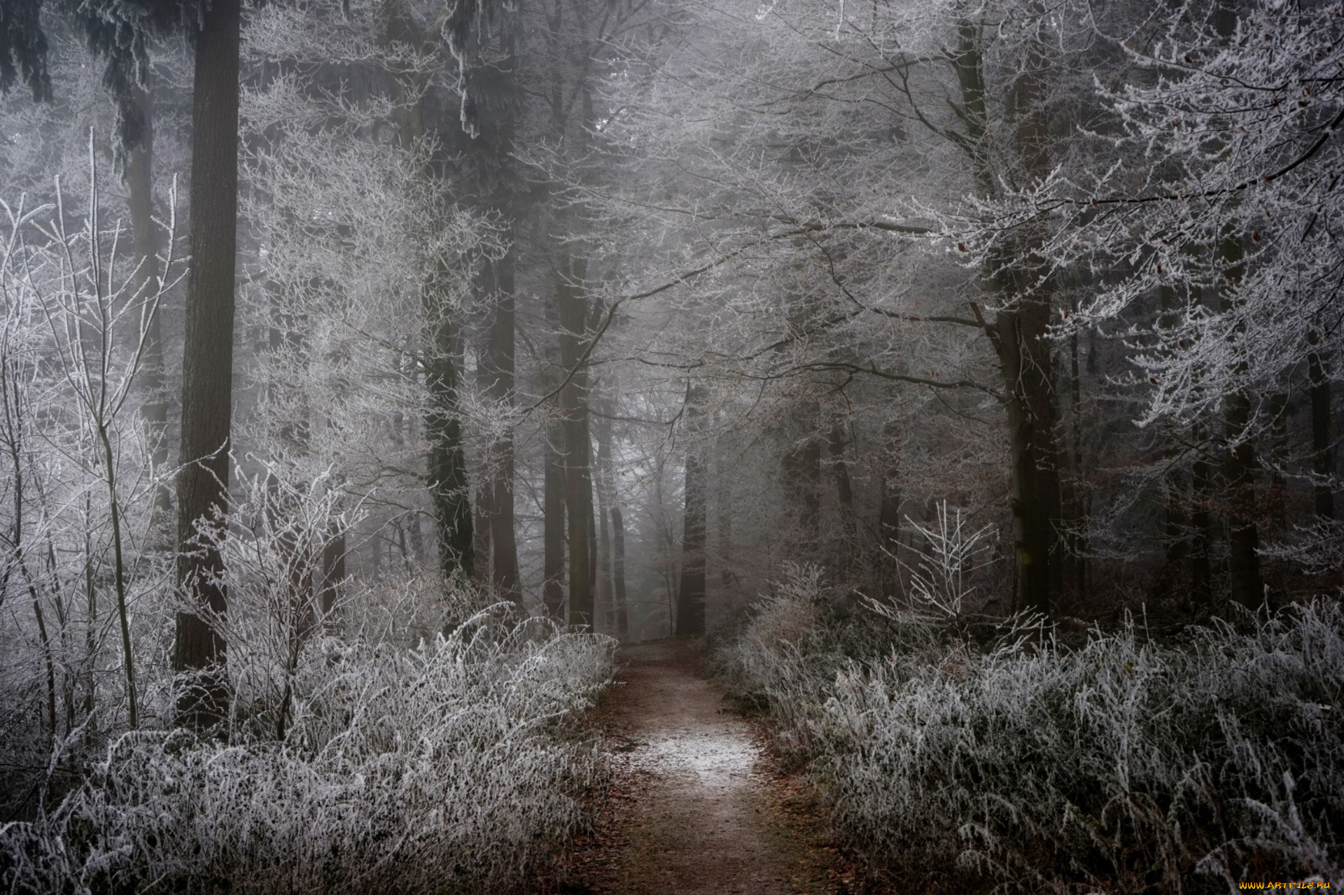 природа, дороги, простор