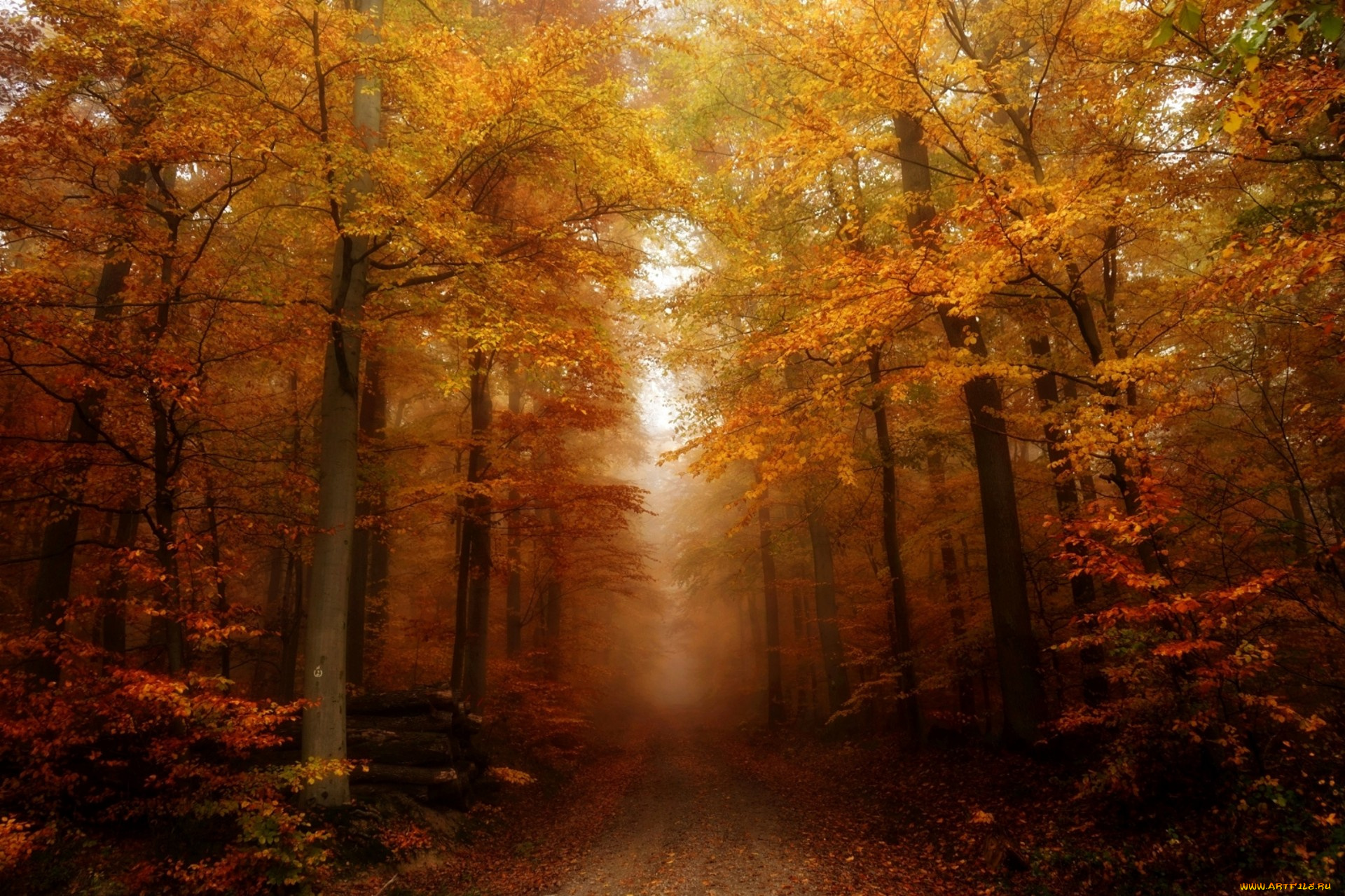 природа, дороги, простор