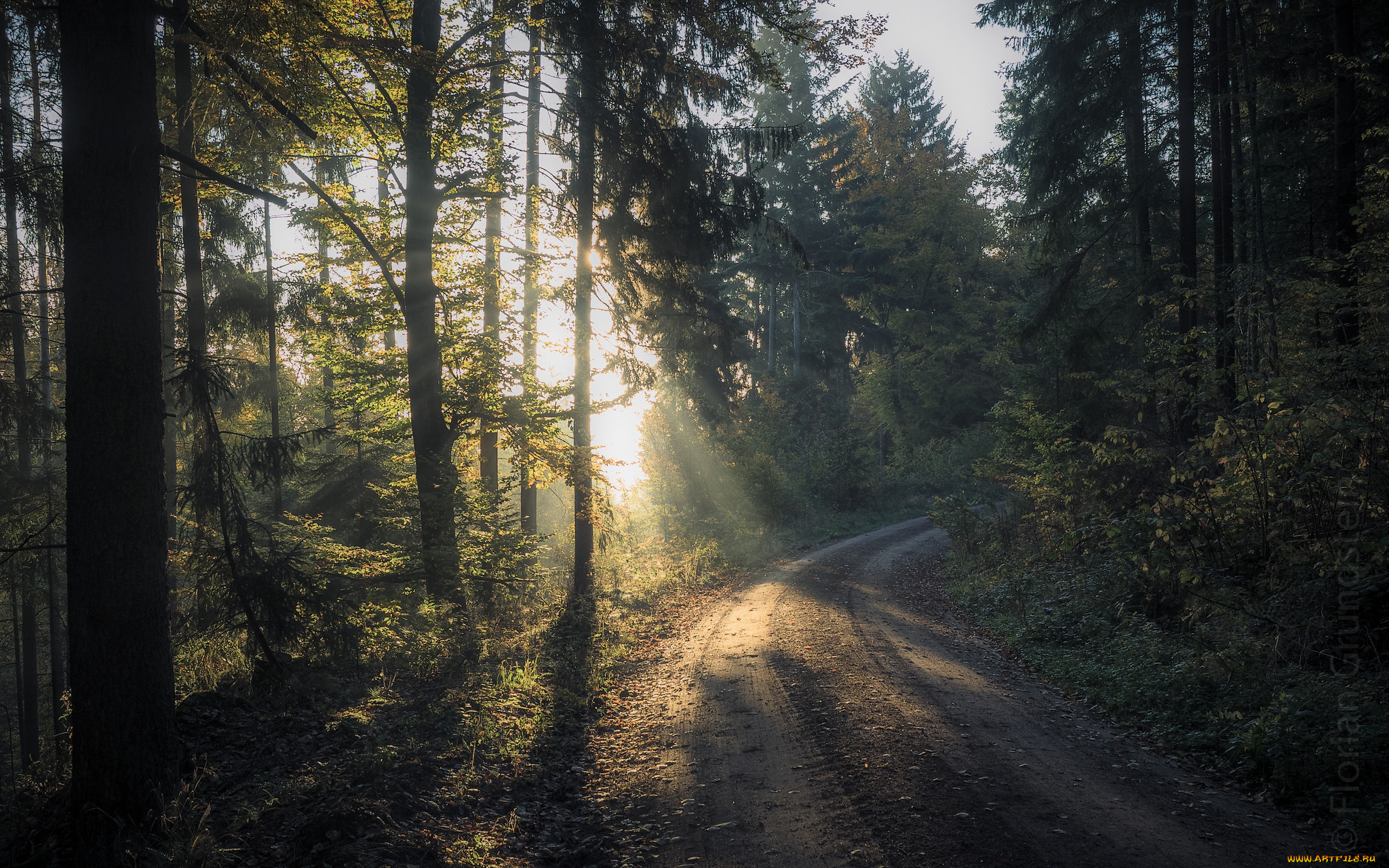 природа, дороги, простор