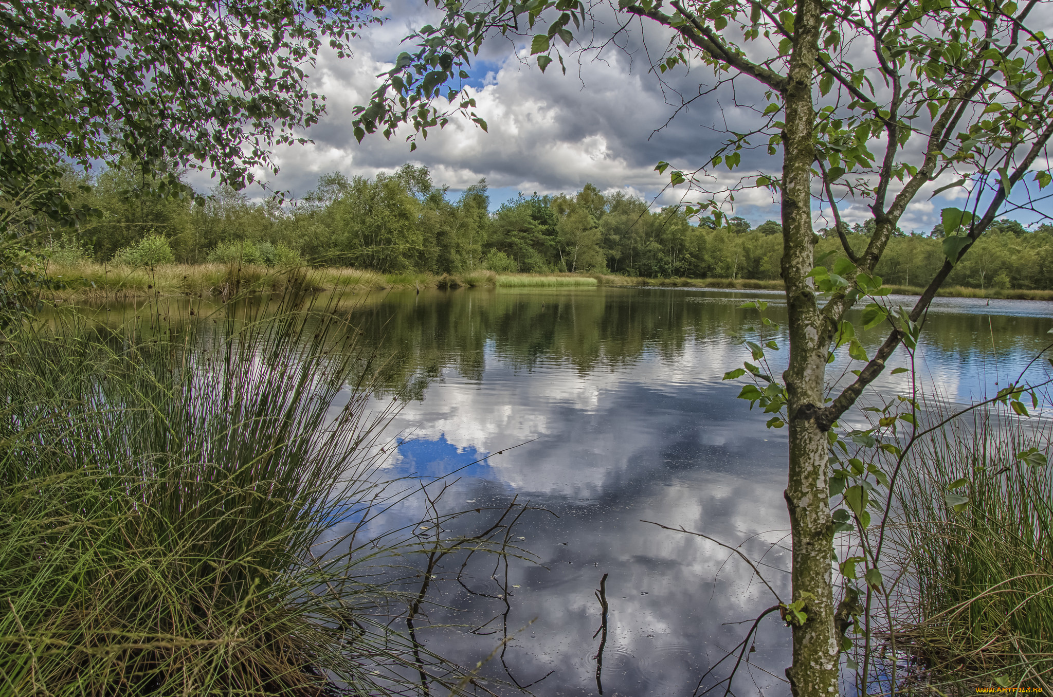 природа, реки, озера, простор