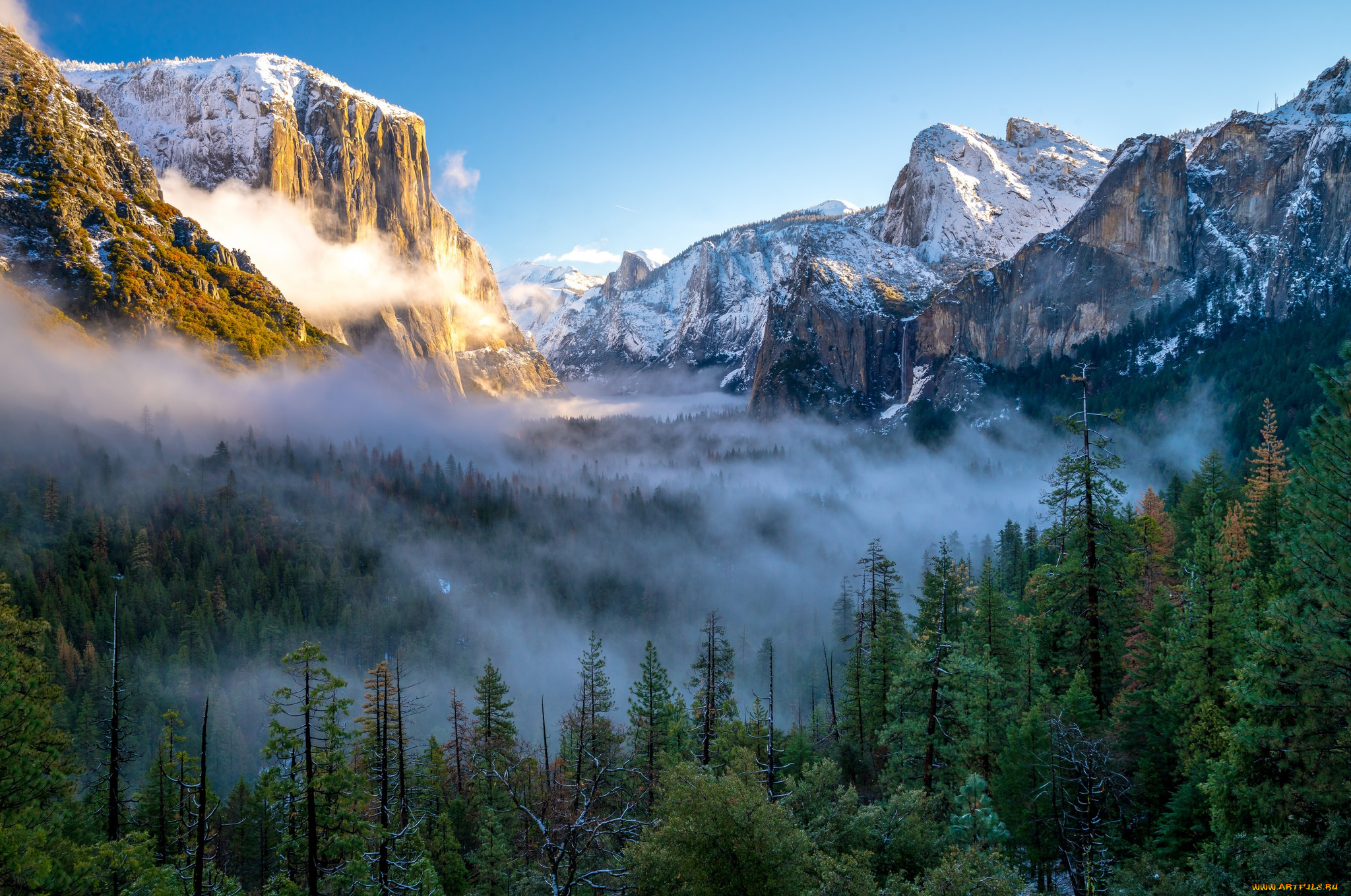 природа, горы, солнце, деревья, туман