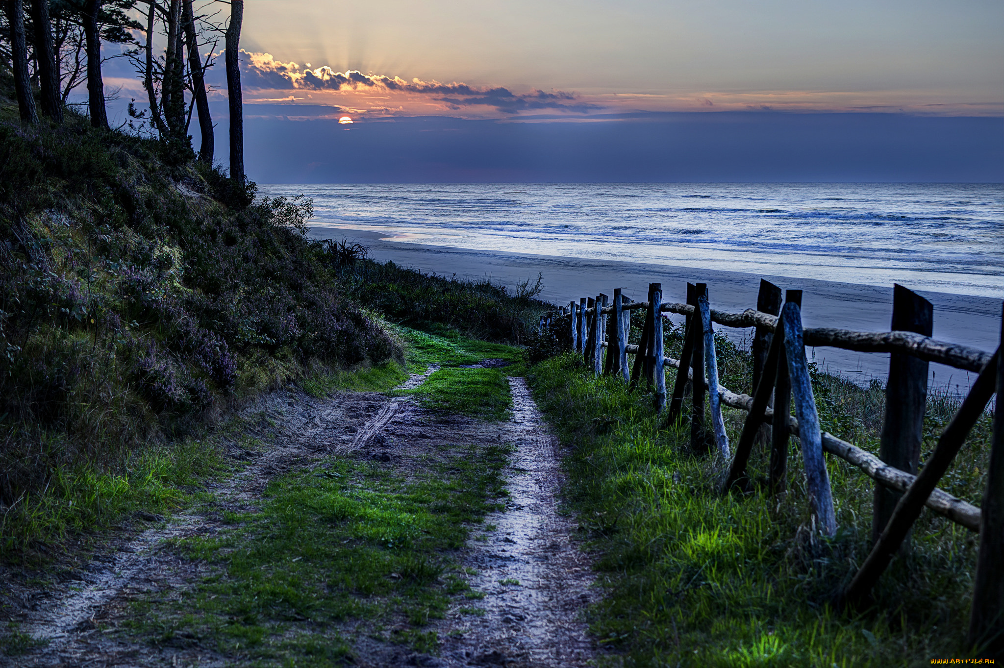 природа, дороги, простор