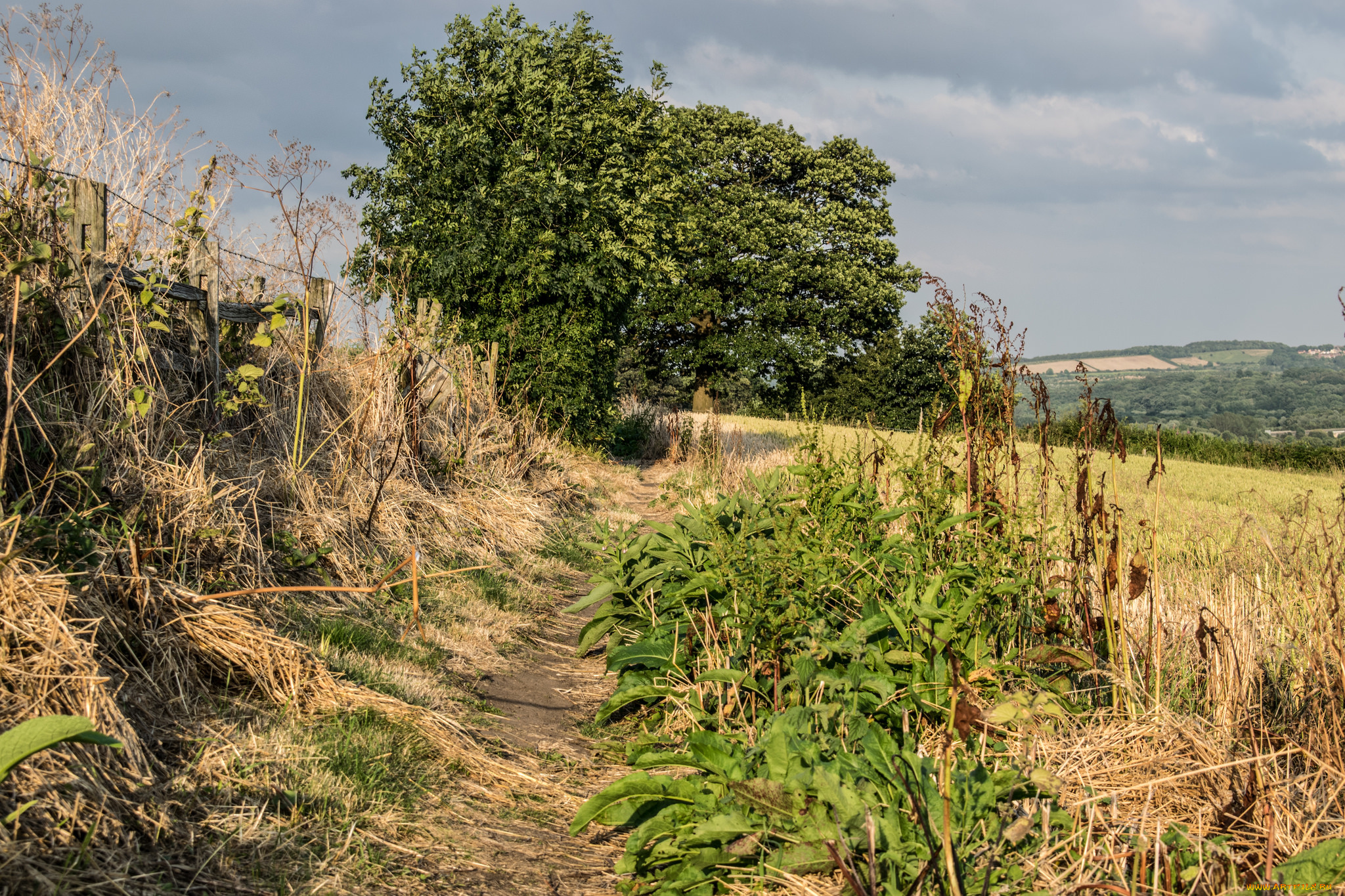 природа, дороги, простор