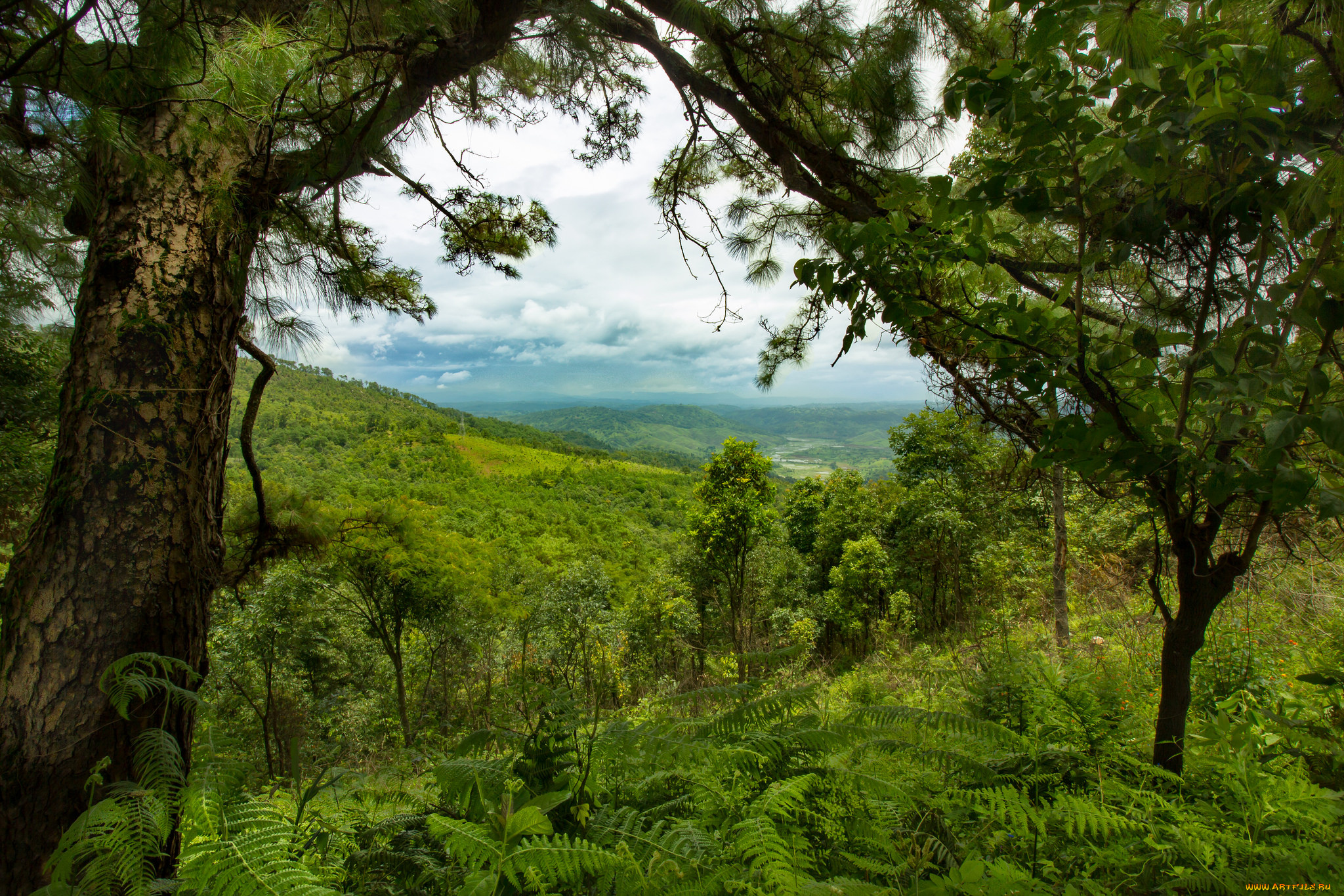 природа, пейзажи, простор