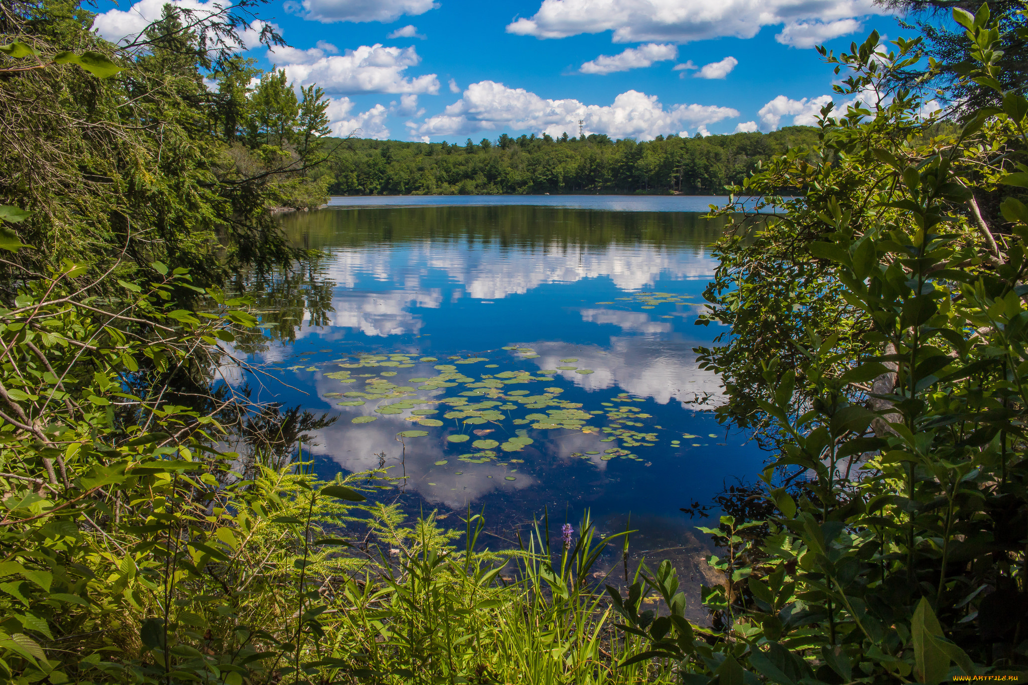 природа, реки, озера, простор