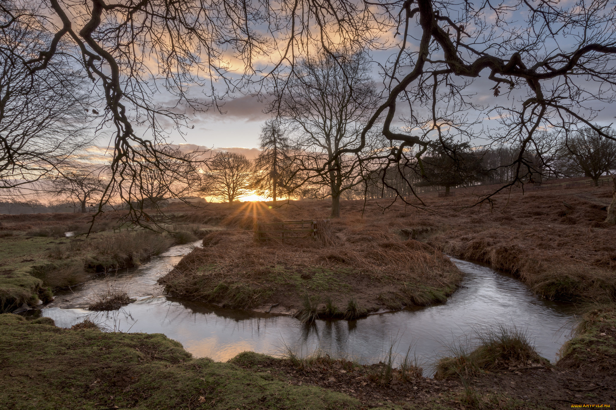 природа, реки, озера, простор