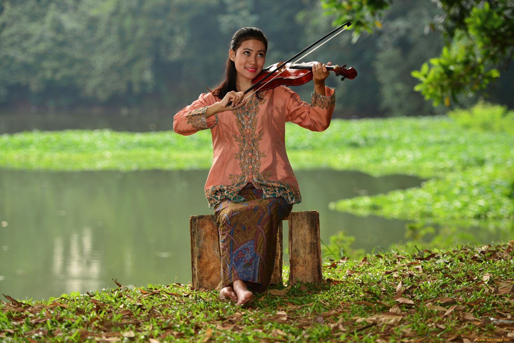 музыка, -другое, девушка, скрипка