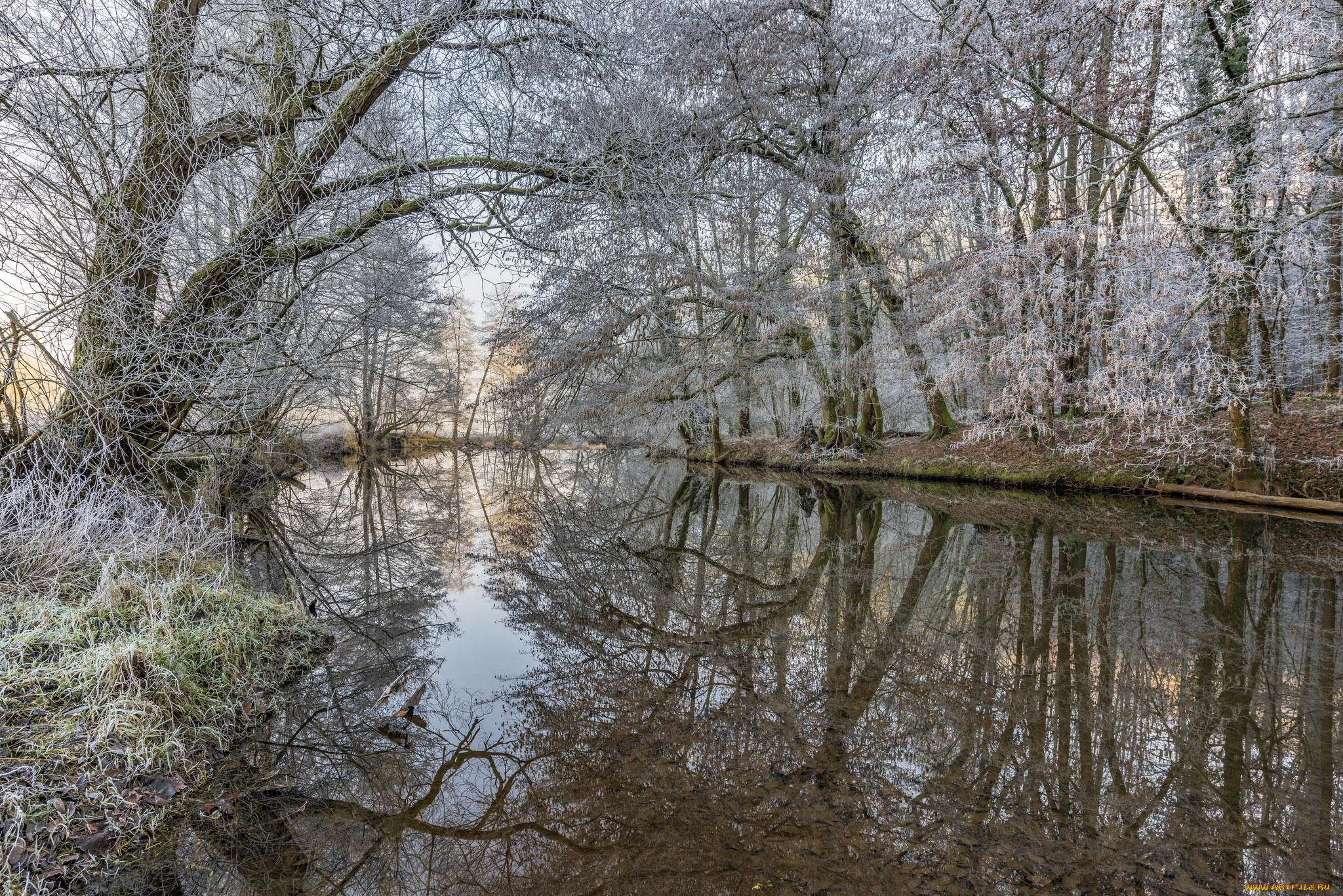 природа, реки, озера, простор