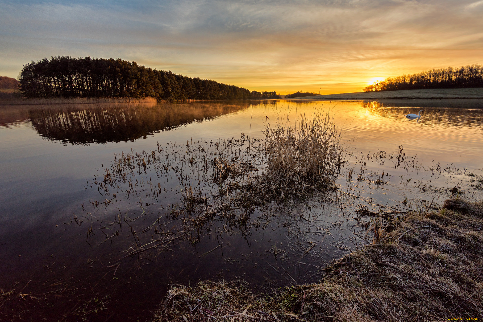 природа, реки, озера, простор