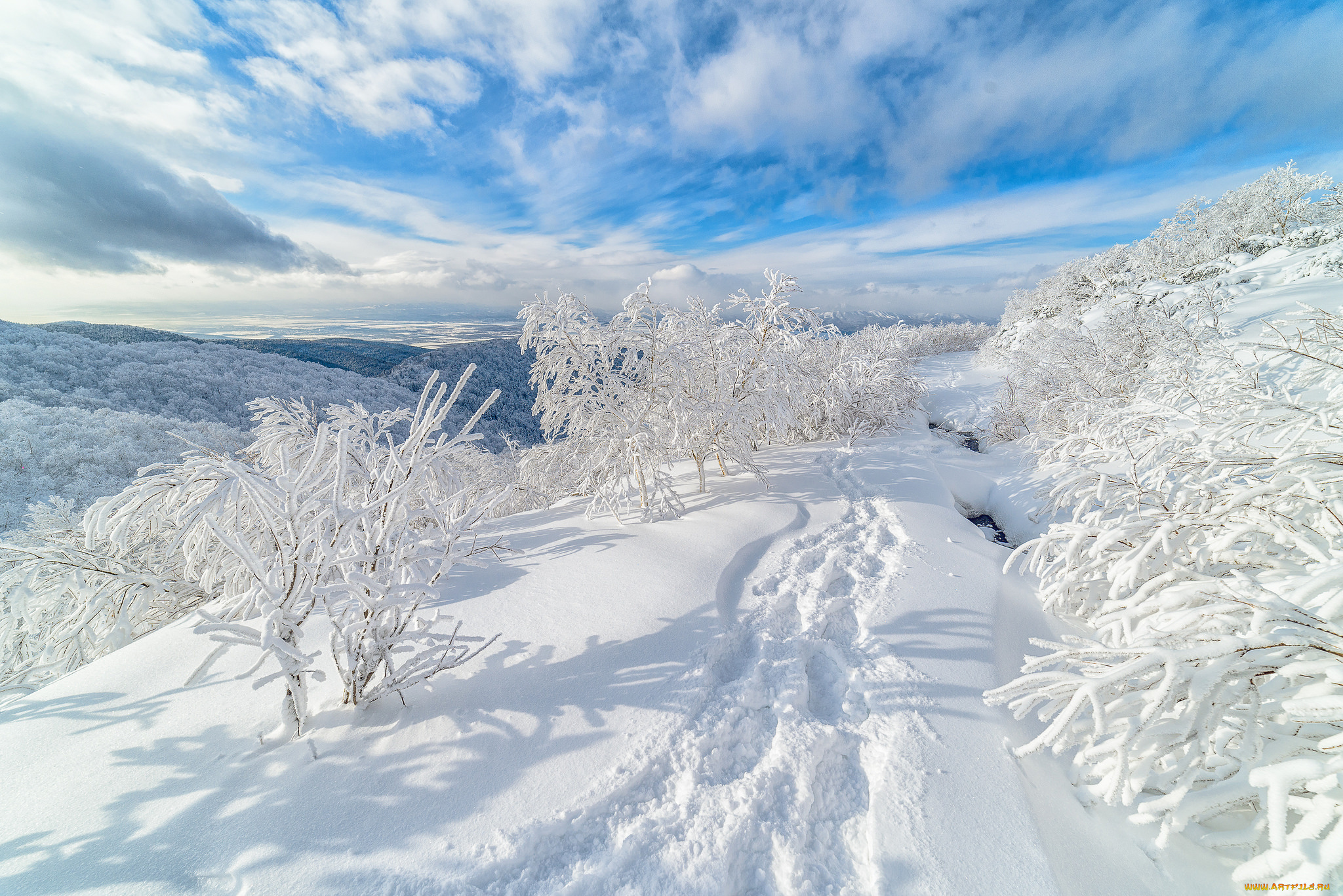 природа, зима, простор
