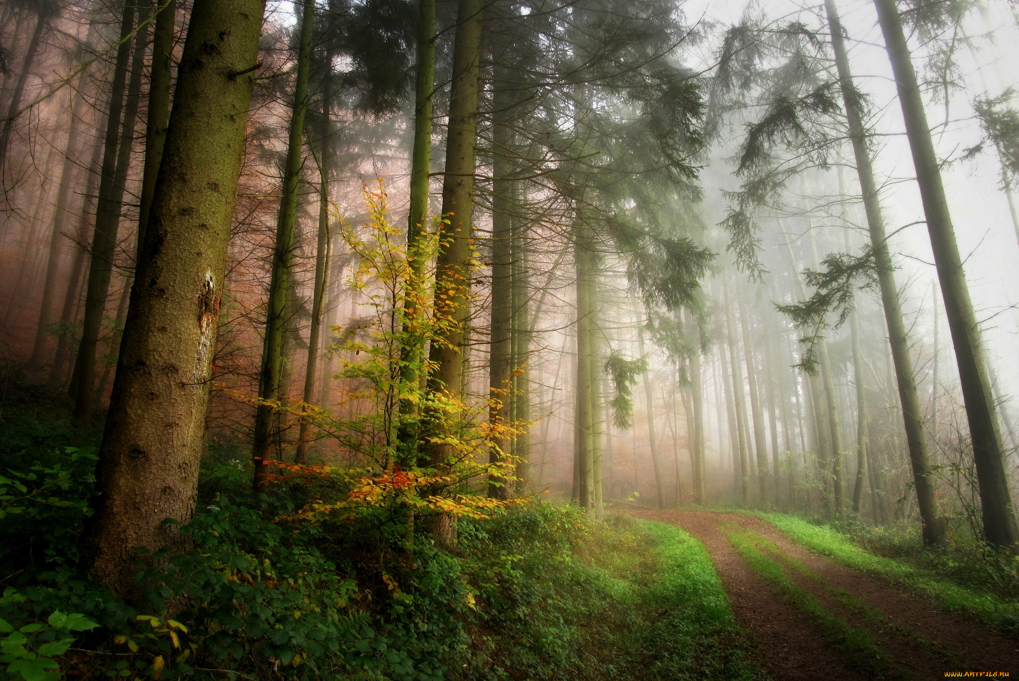 природа, дороги, простор