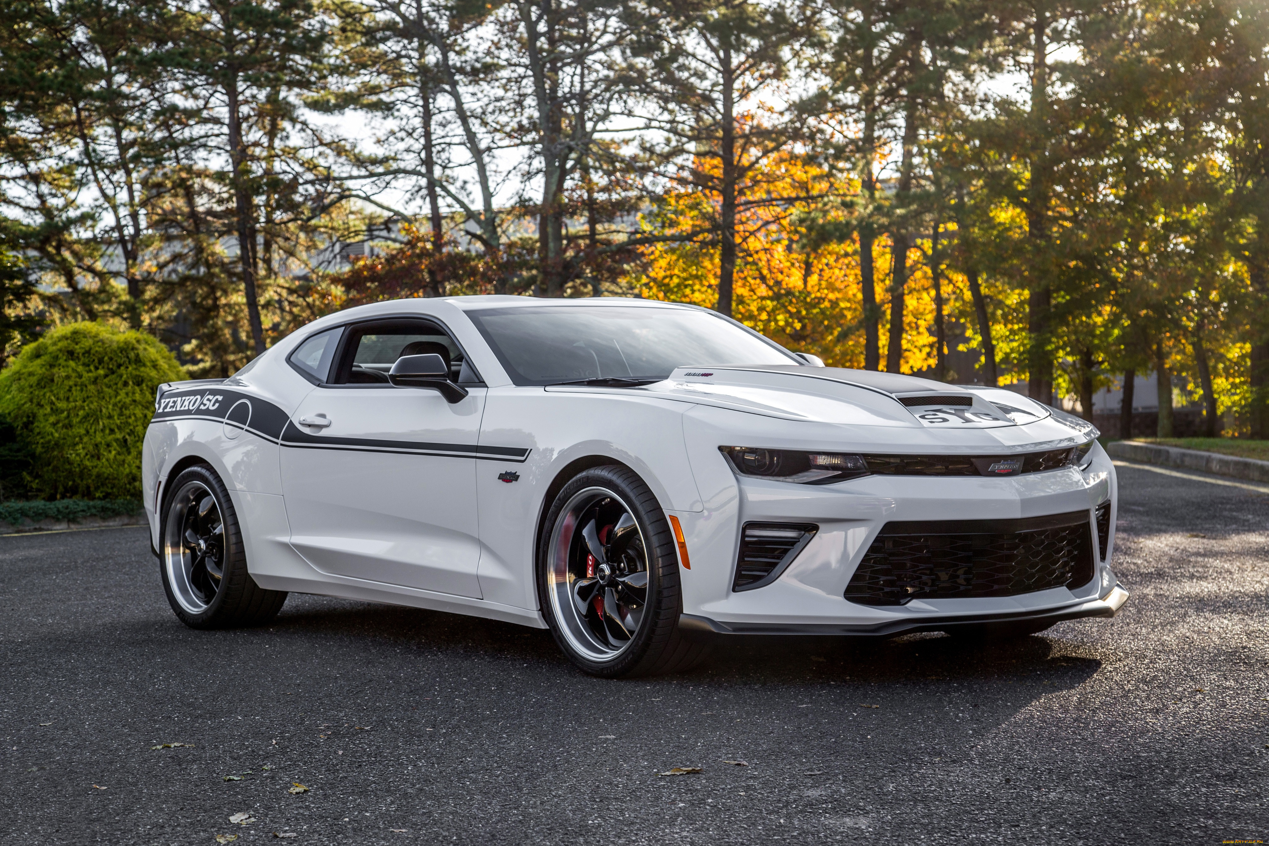 sve, chevrolet, camaro, yenko, , 2018, автомобили, camaro, sve, chevrolet, yenko, белый, купе, шевроле