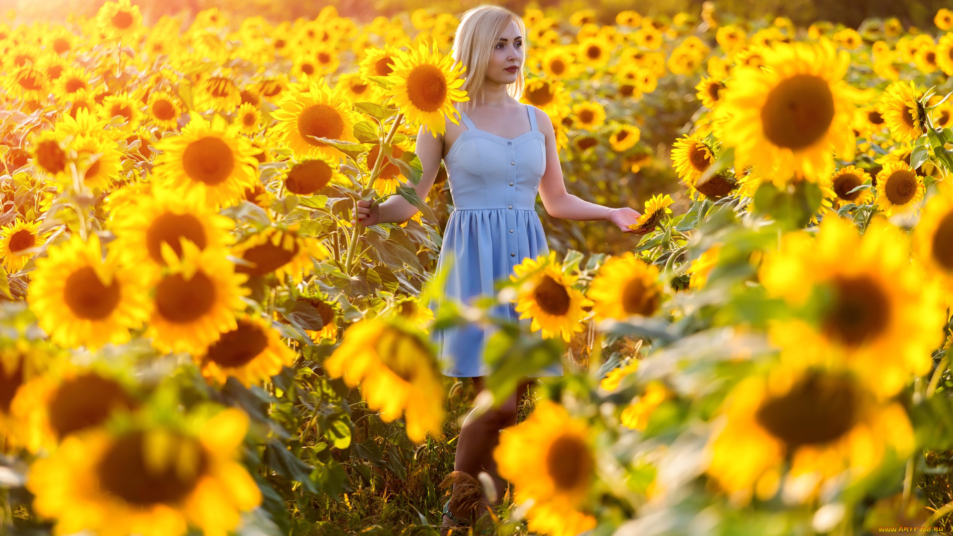 девушка, девушки, -unsort, , блондинки, , светловолосые, модель