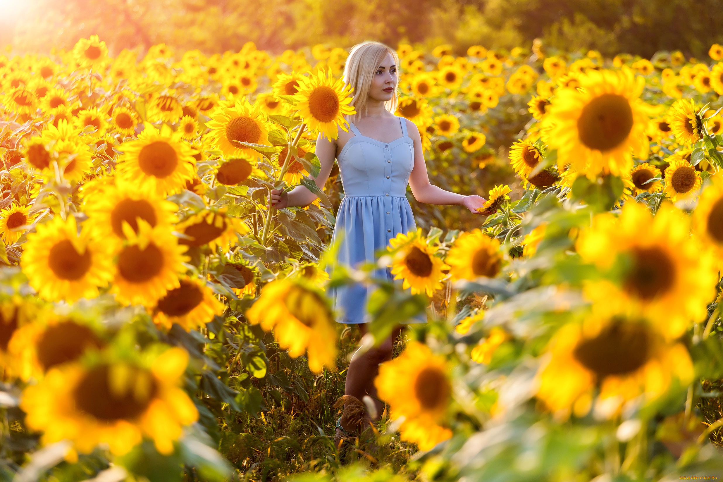 девушка, девушки, -unsort, , блондинки, , светловолосые, модель