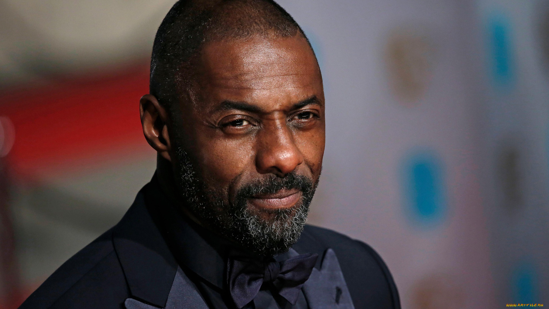 мужчины, idris, elba, актер, лицо, борода, костюм