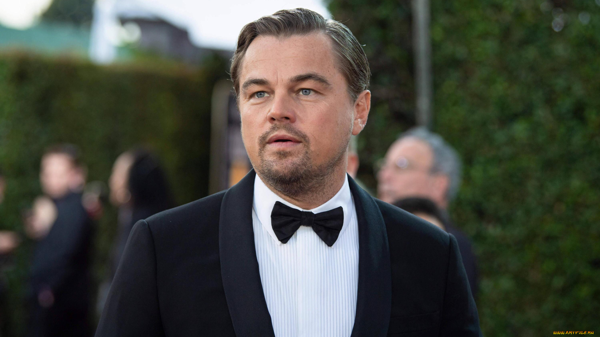 мужчины, leonardo, dicaprio, актер, костюм, бабочка