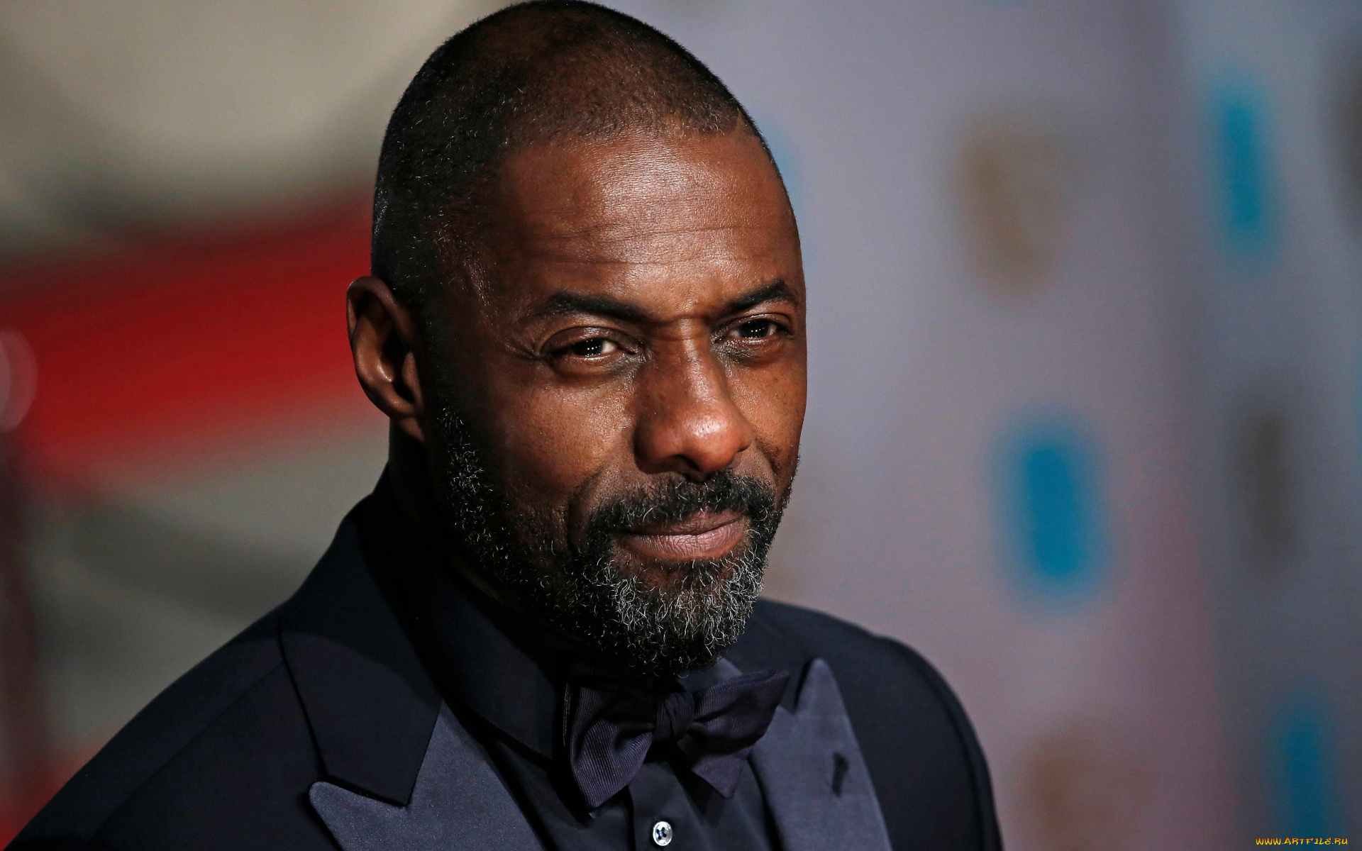 мужчины, idris, elba, актер, лицо, борода, костюм