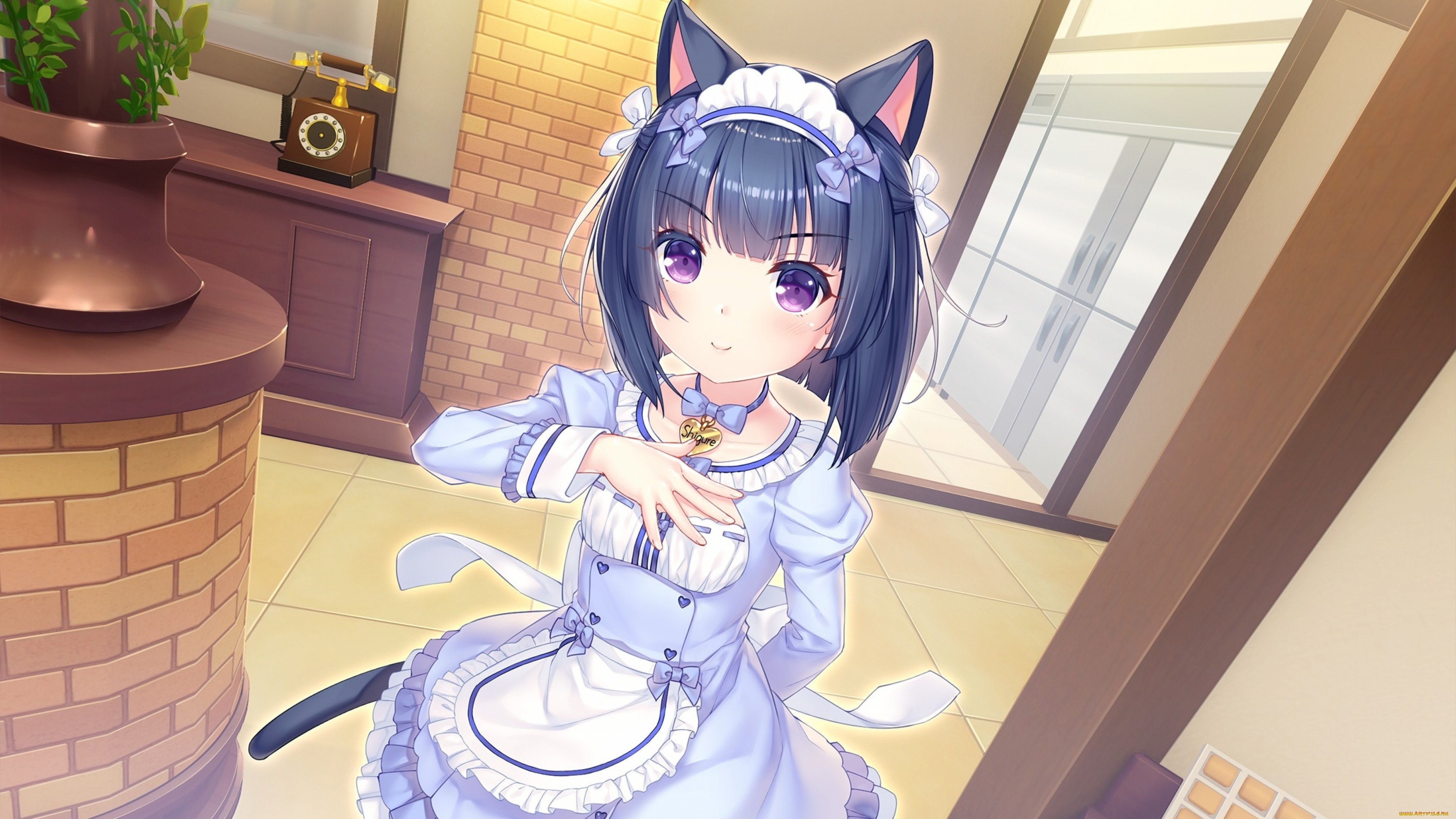 аниме, nekopara, minazuki, shigure, ушки, униформа, телефон