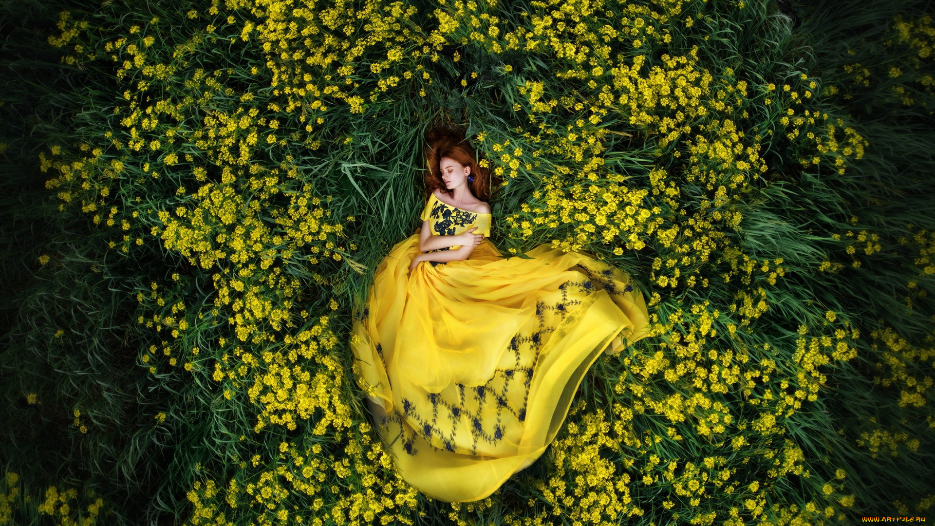 девушки, -, рыжеволосые, и, разноцветные, рыженькая, поза