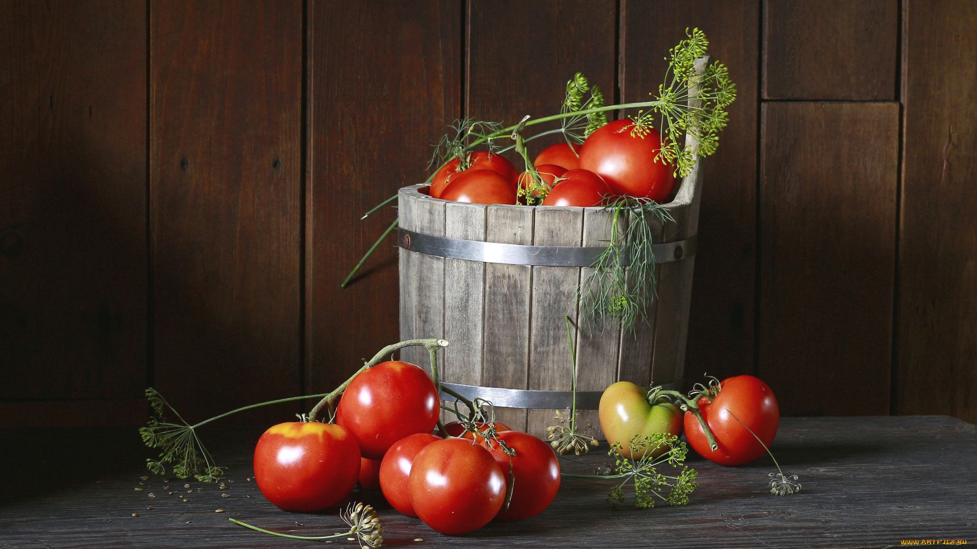 еда, помидоры, томаты