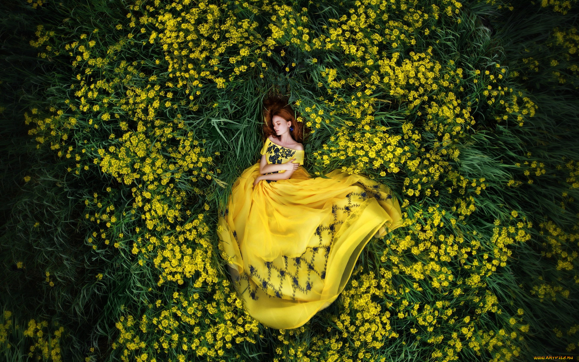 девушки, -, рыжеволосые, и, разноцветные, рыженькая, поза