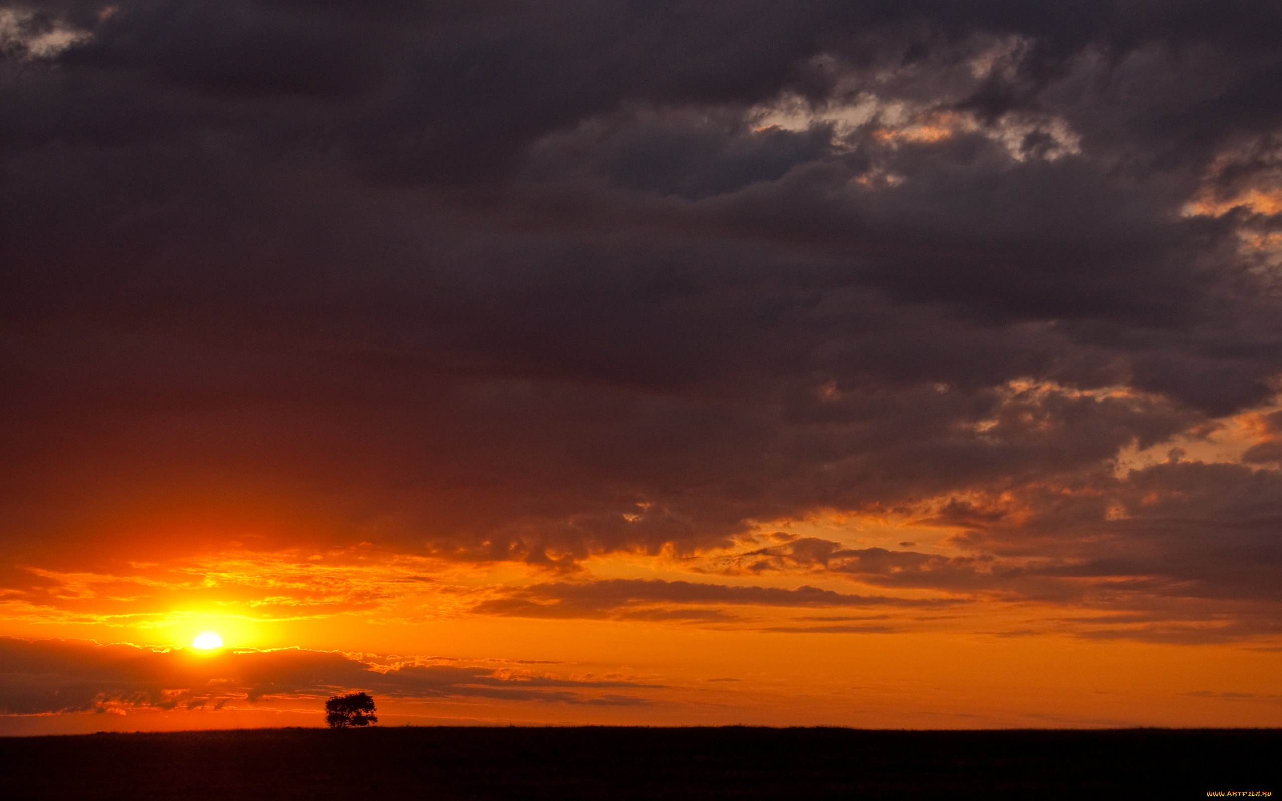природа, восходы, закаты, небо, тучи, закат, дерево