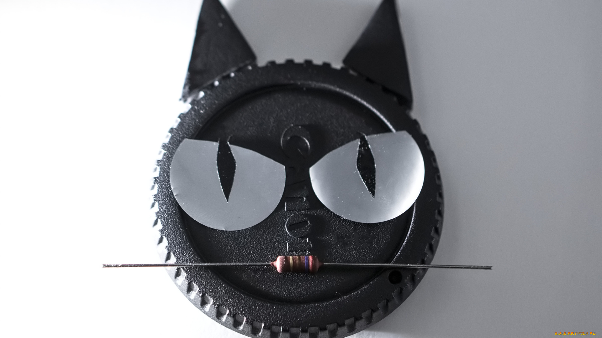 разное, игрушки, кот, кошка