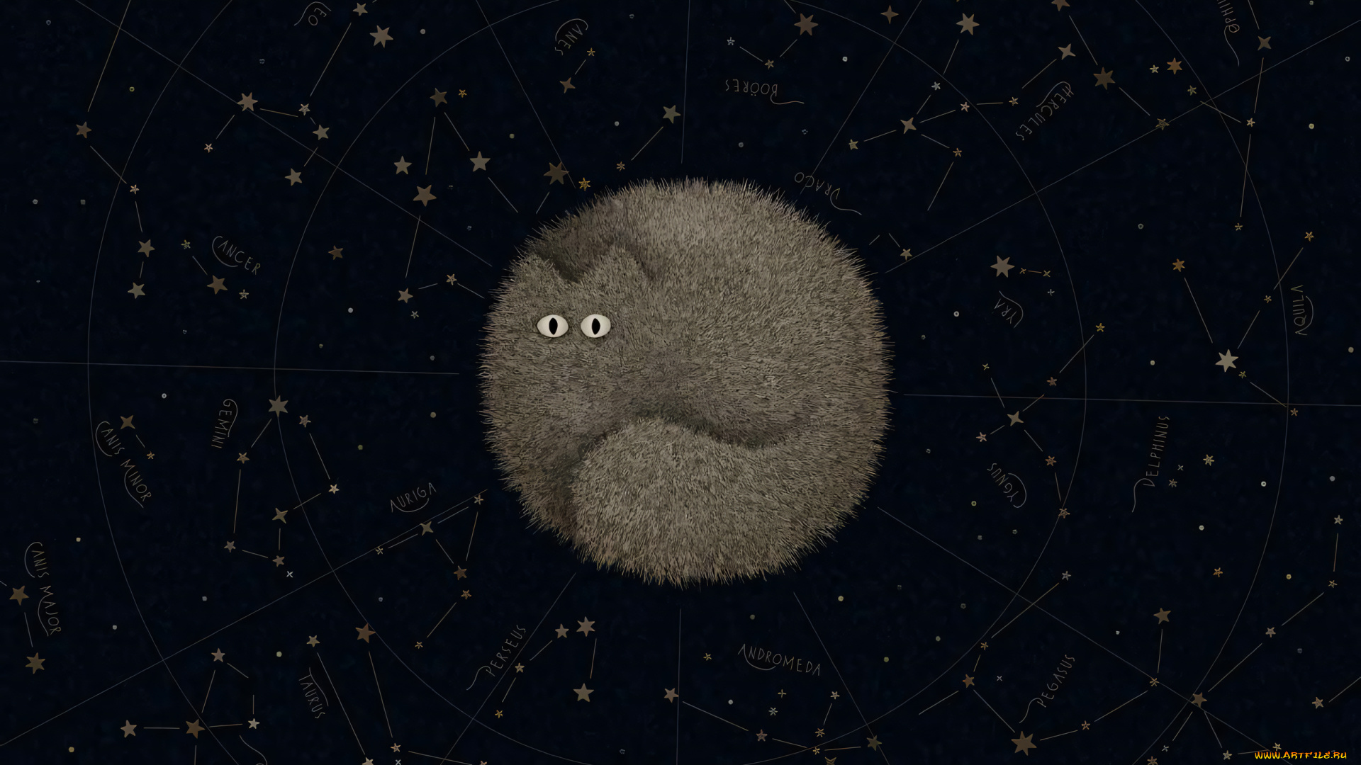 рисованное, vladstudio